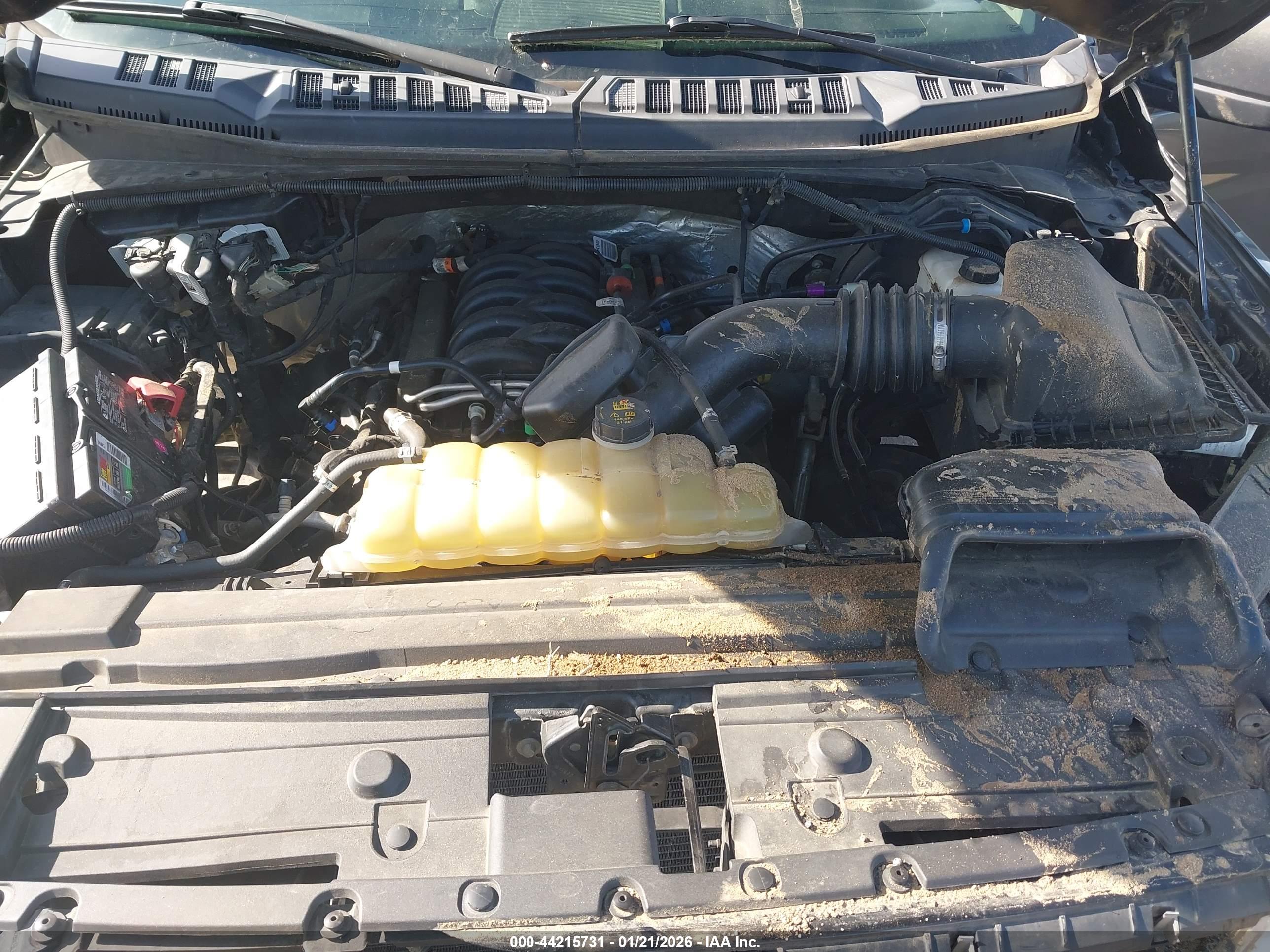 FORD F-150 image 10