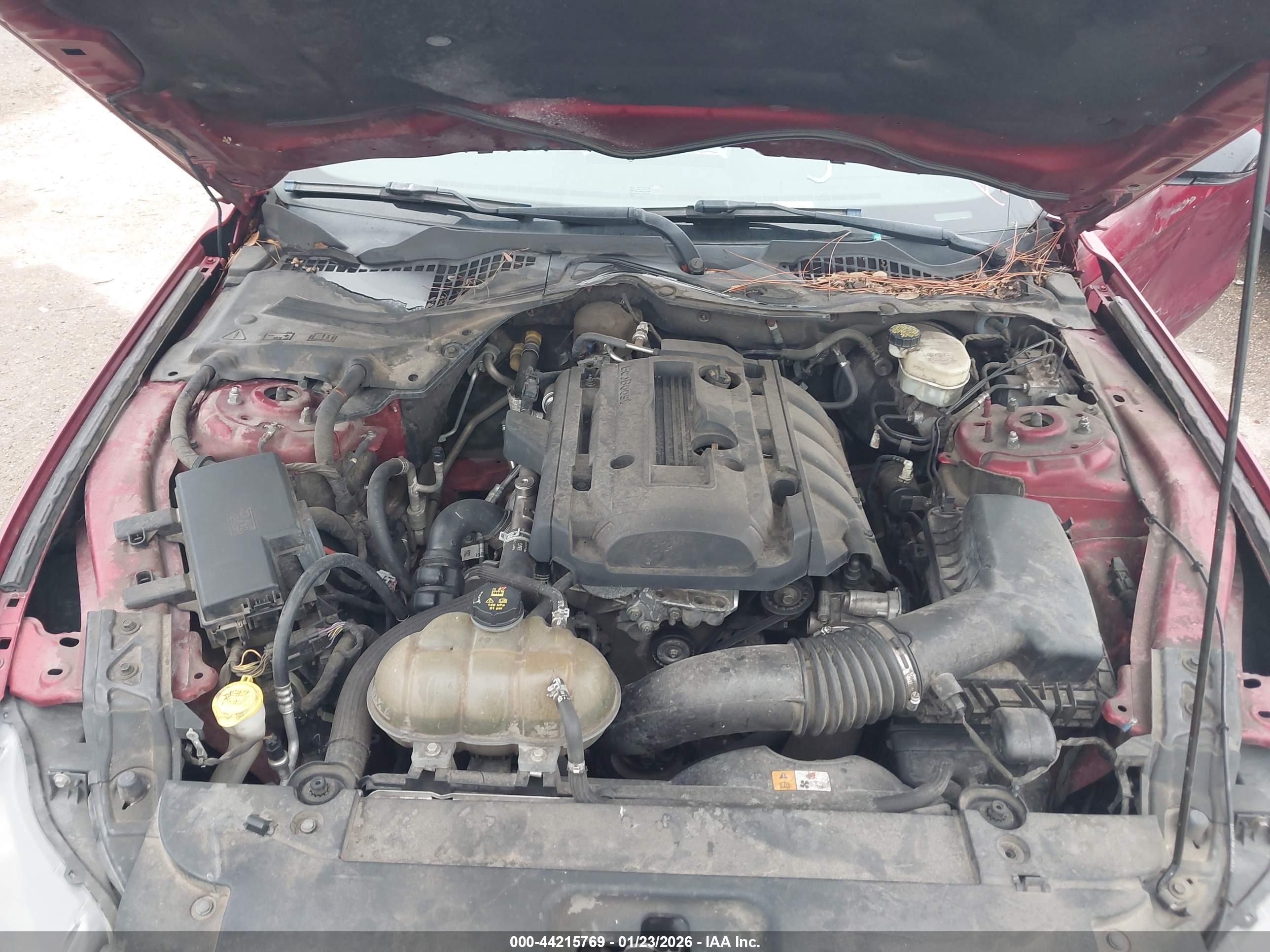 FORD MUSTANG image 10