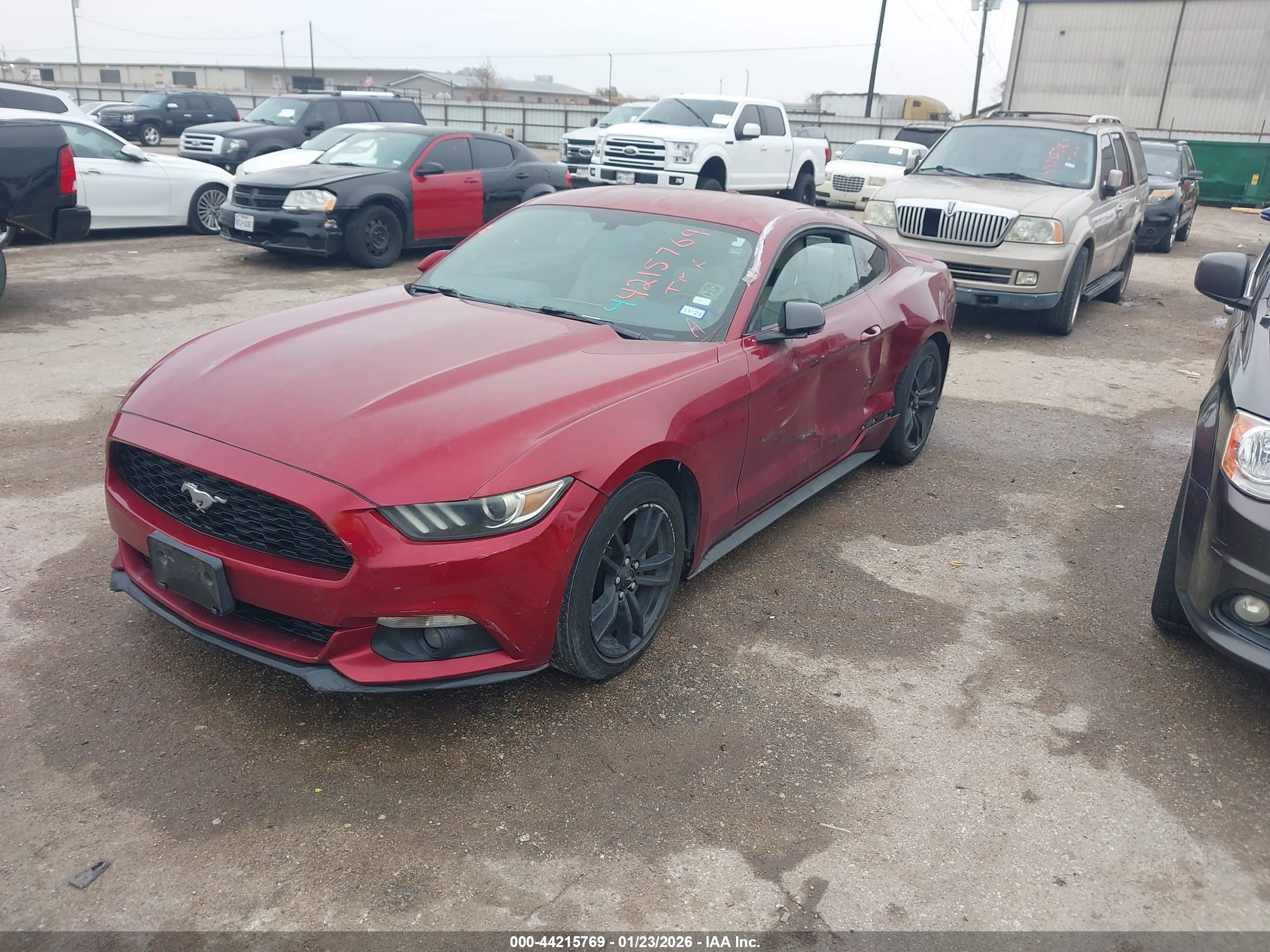 FORD MUSTANG image 2