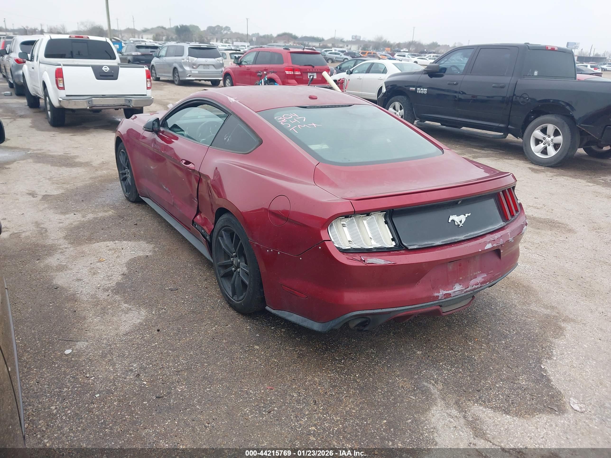 FORD MUSTANG image 3