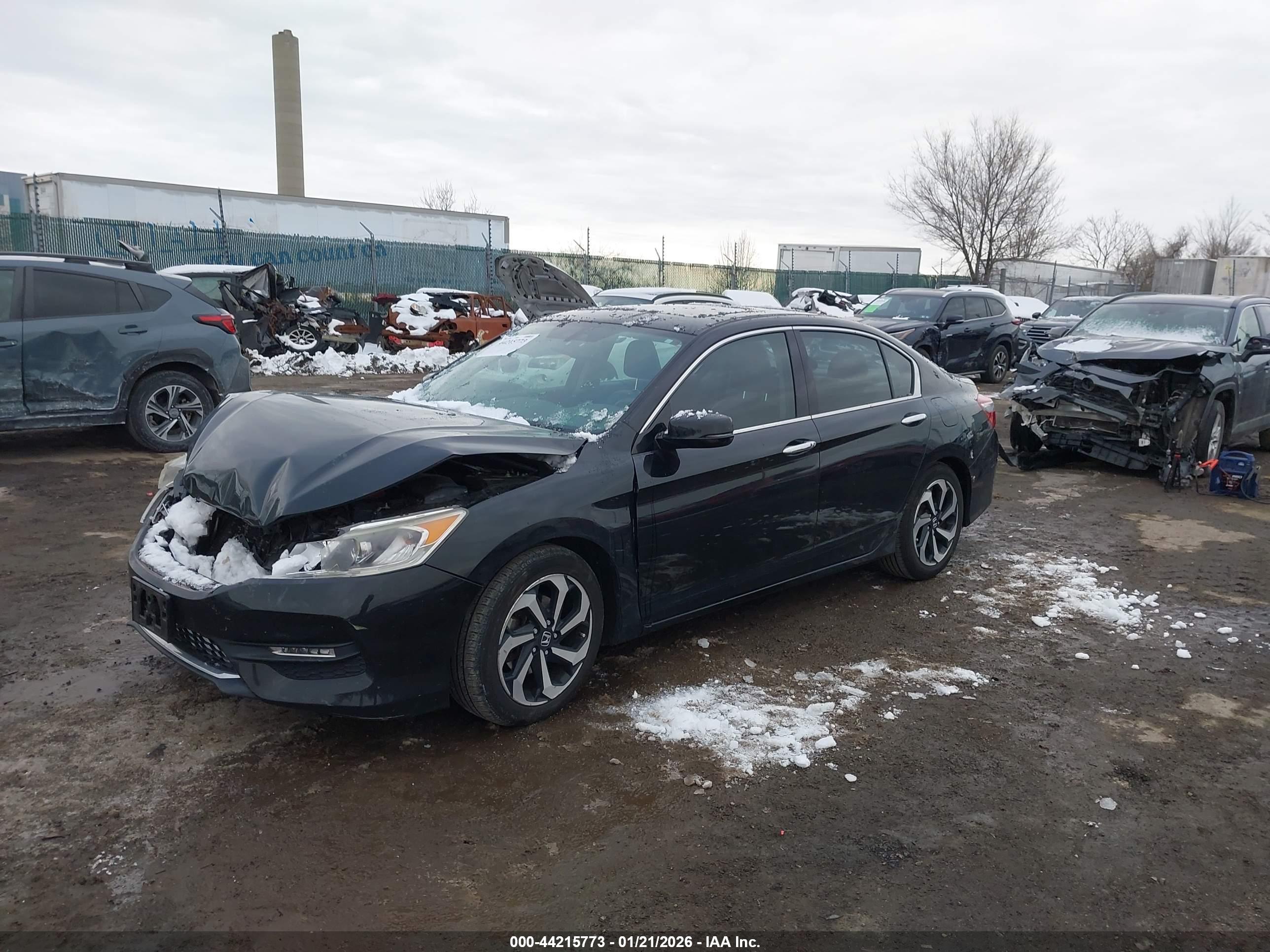 HONDA ACCORD image 2