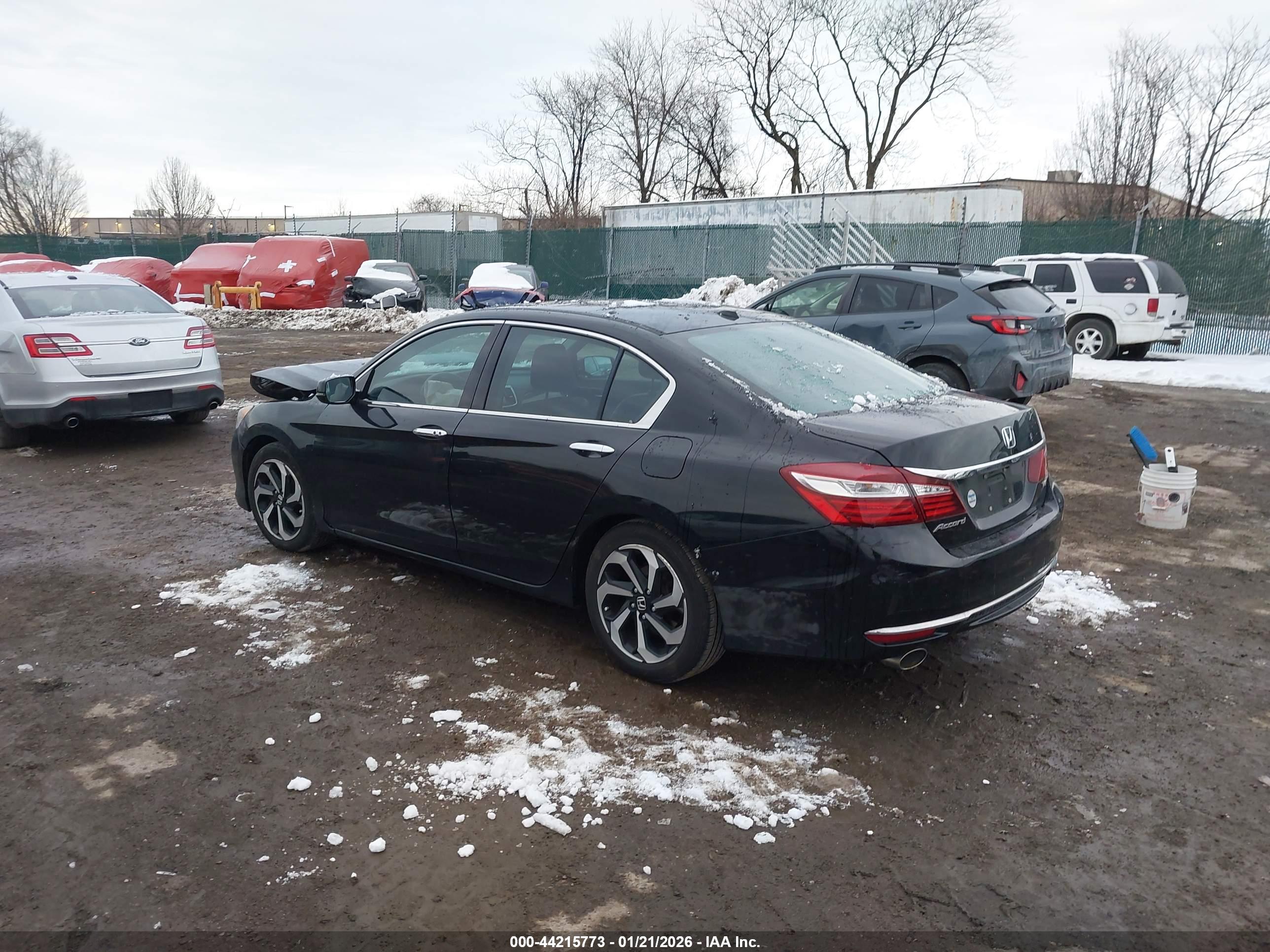 HONDA ACCORD image 3