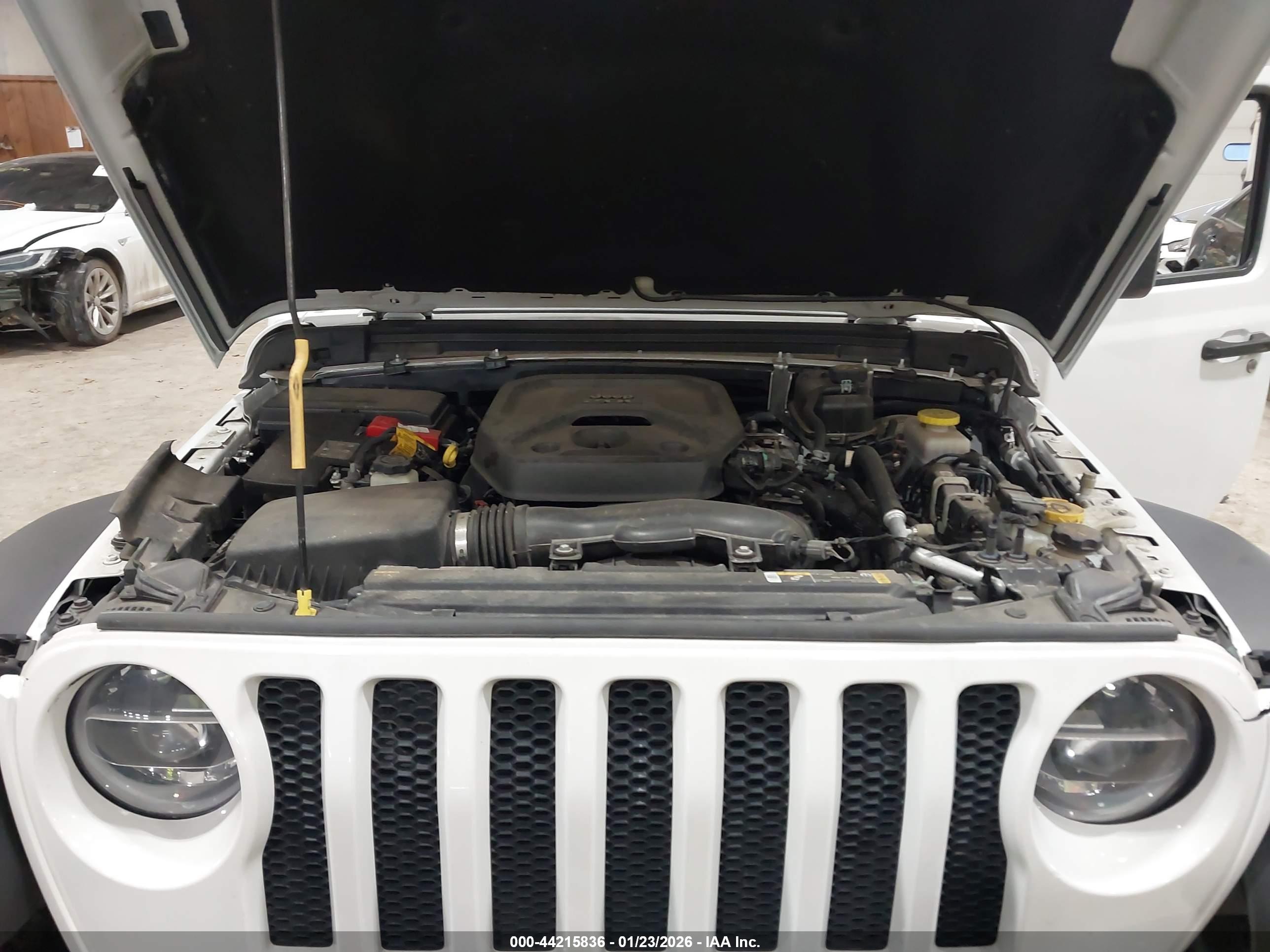 JEEP WRANGLER image 10