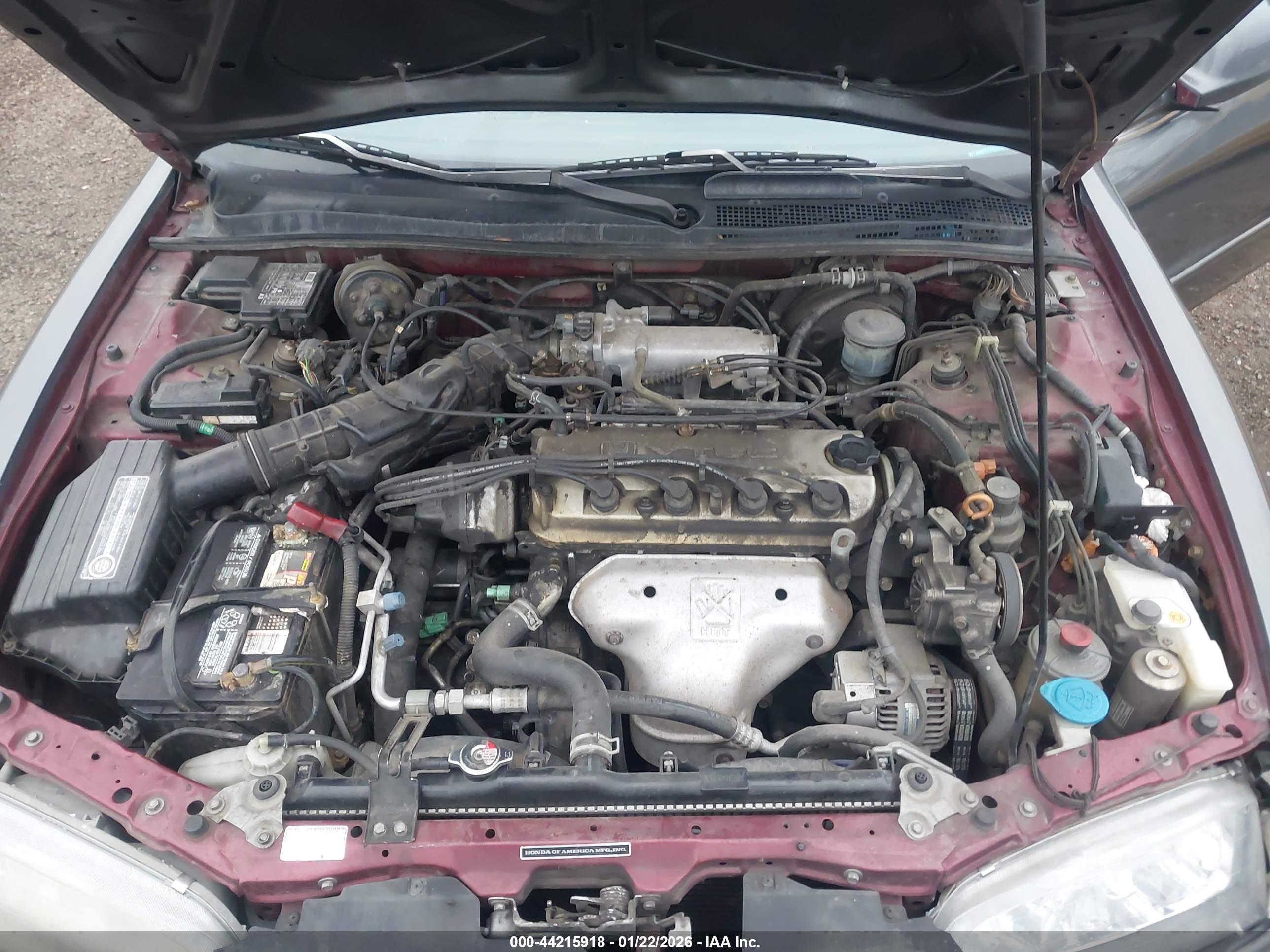 HONDA ACCORD image 10