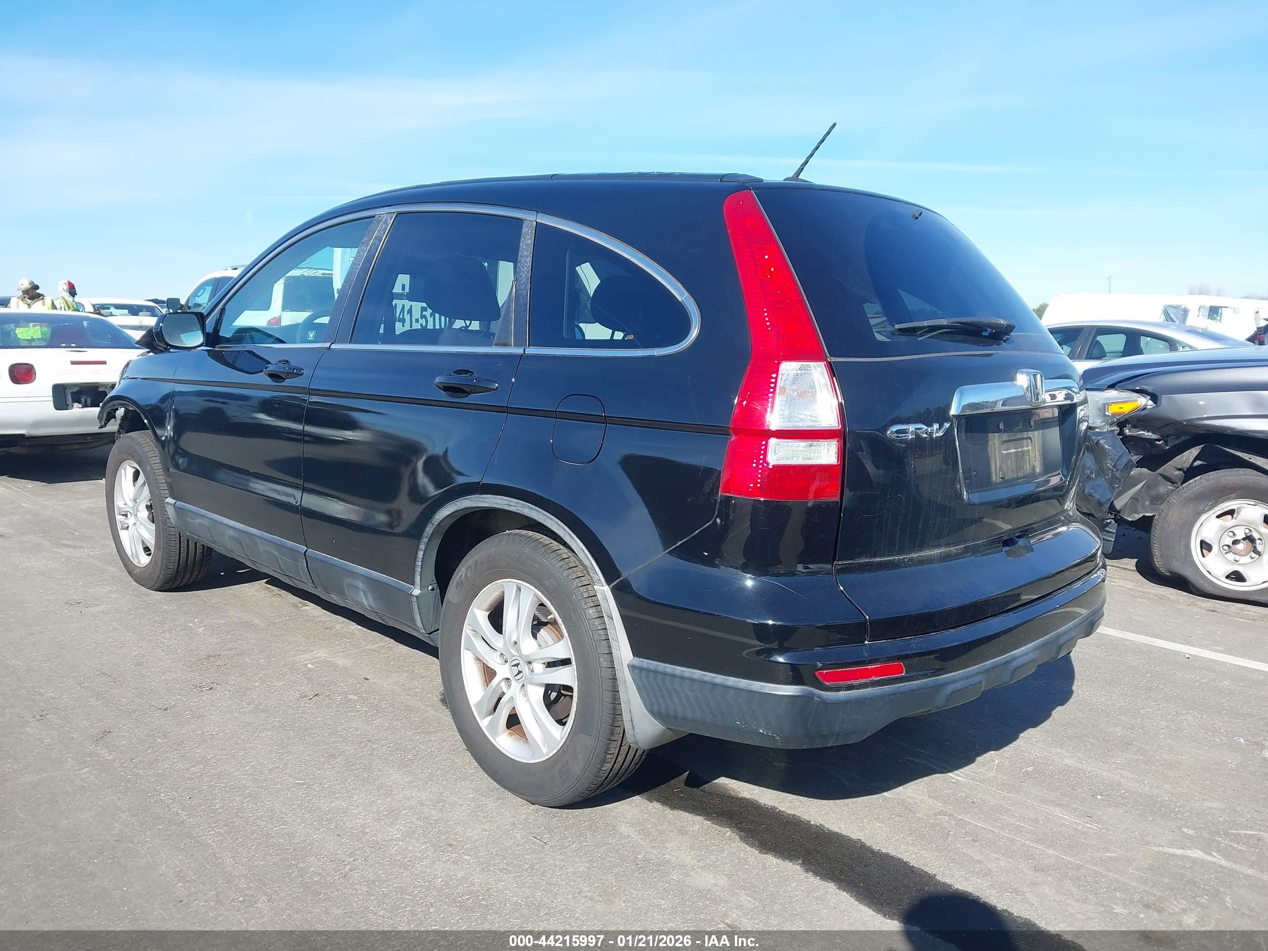 HONDA CR-V image 3