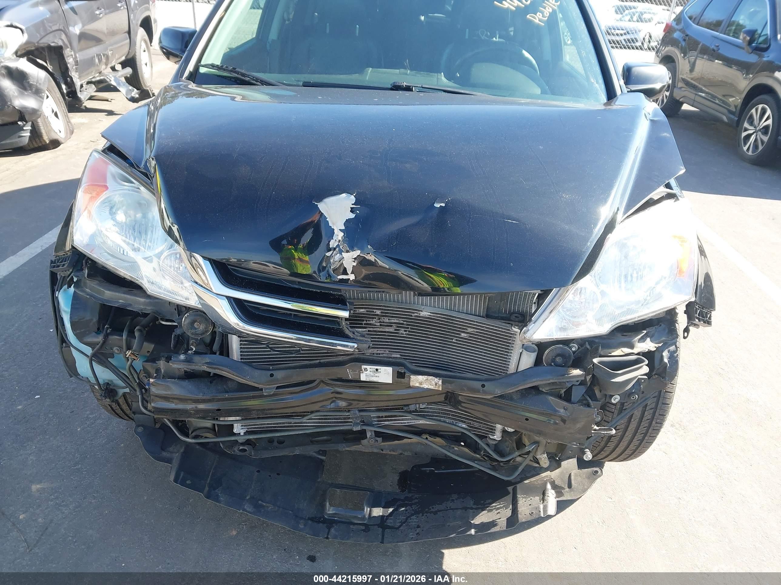 HONDA CR-V image 6