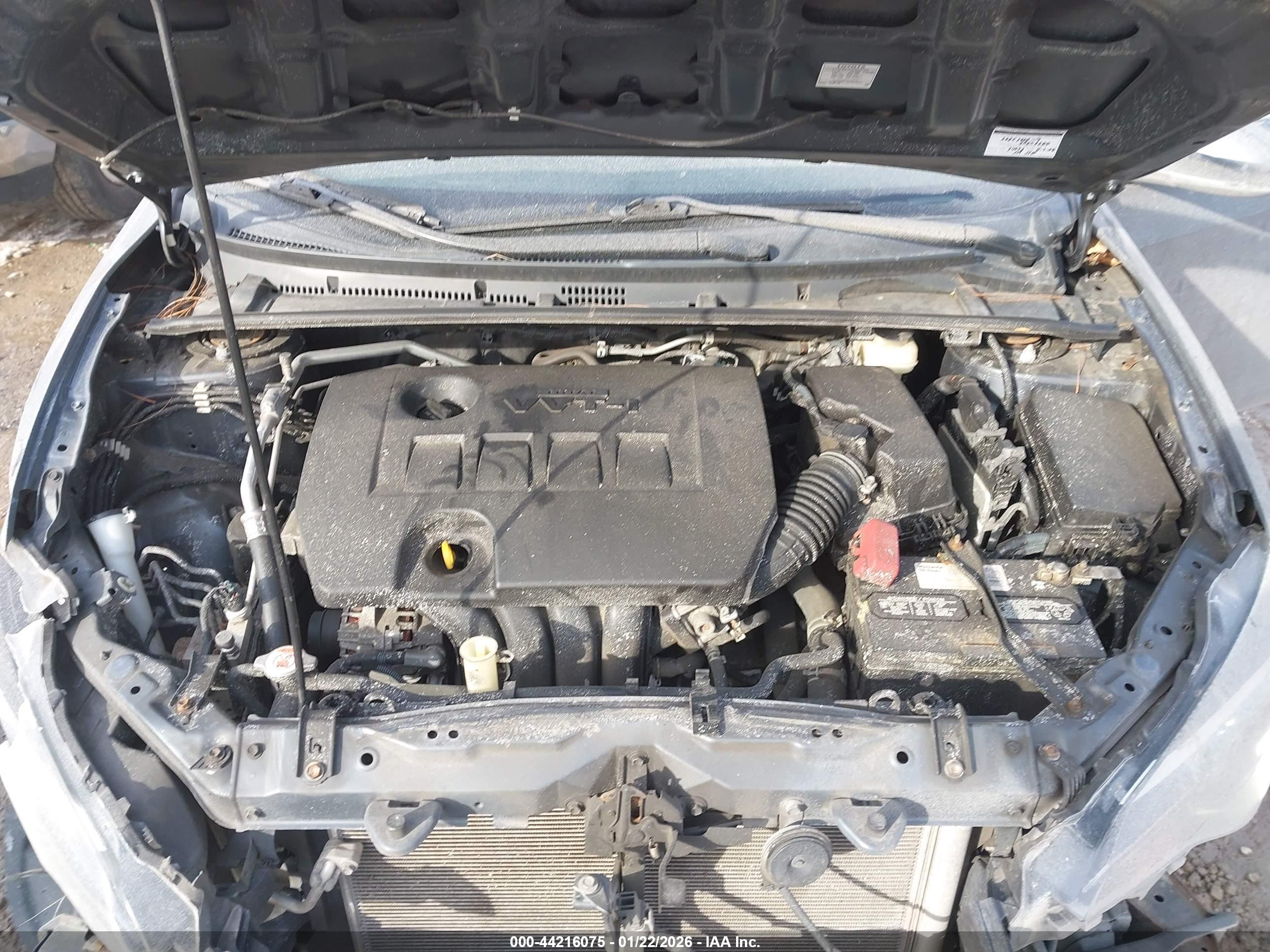 TOYOTA COROLLA image 10