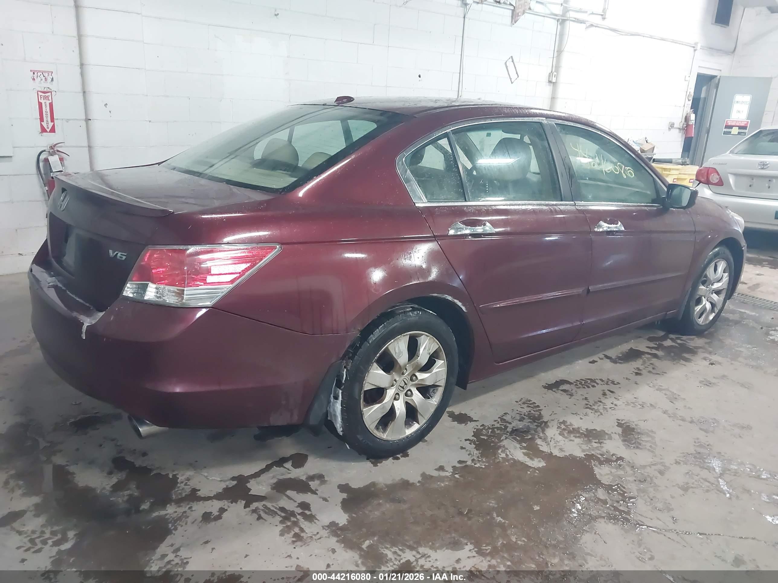 HONDA ACCORD image 4