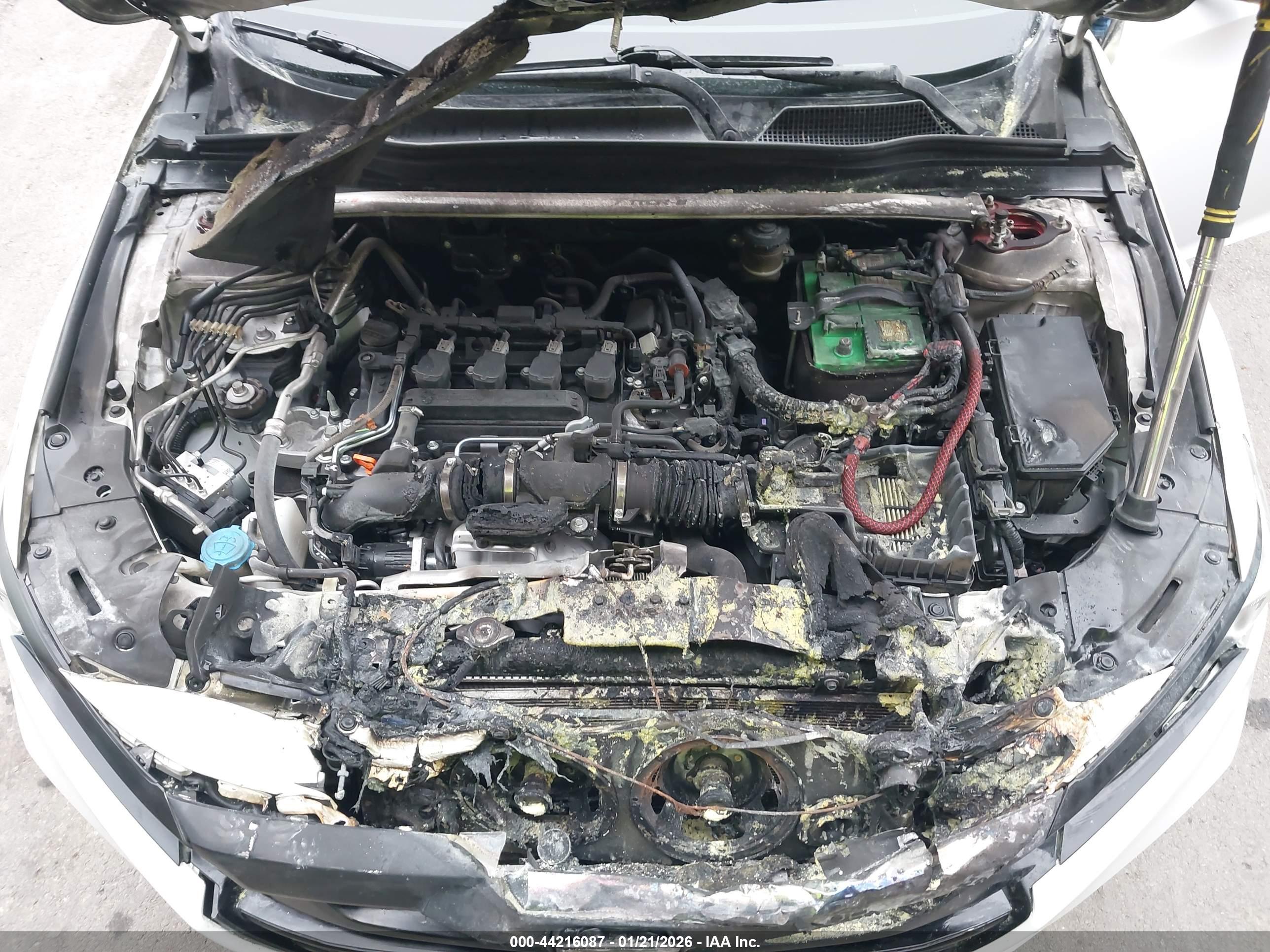 HONDA ACCORD image 10