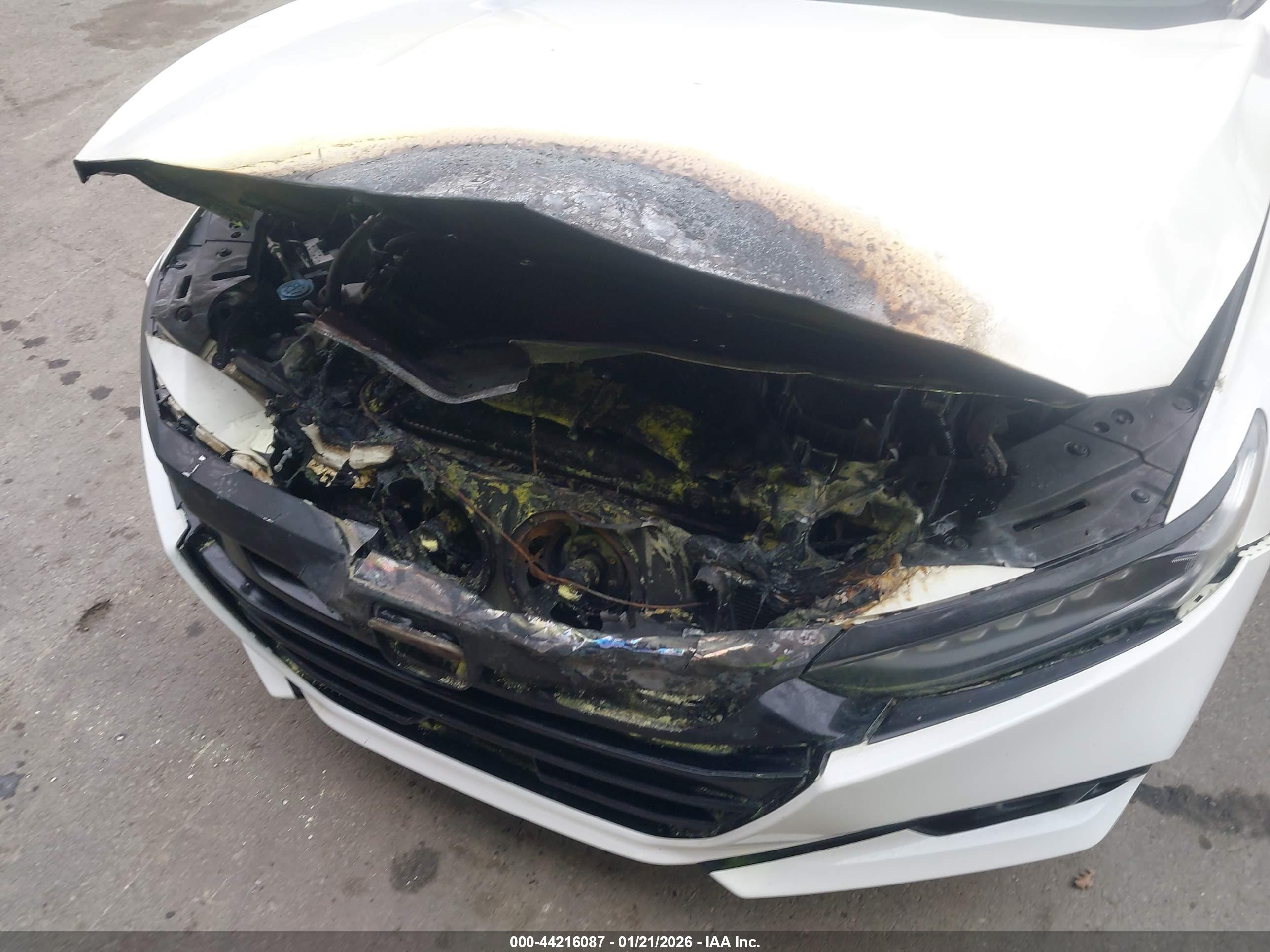HONDA ACCORD image 6