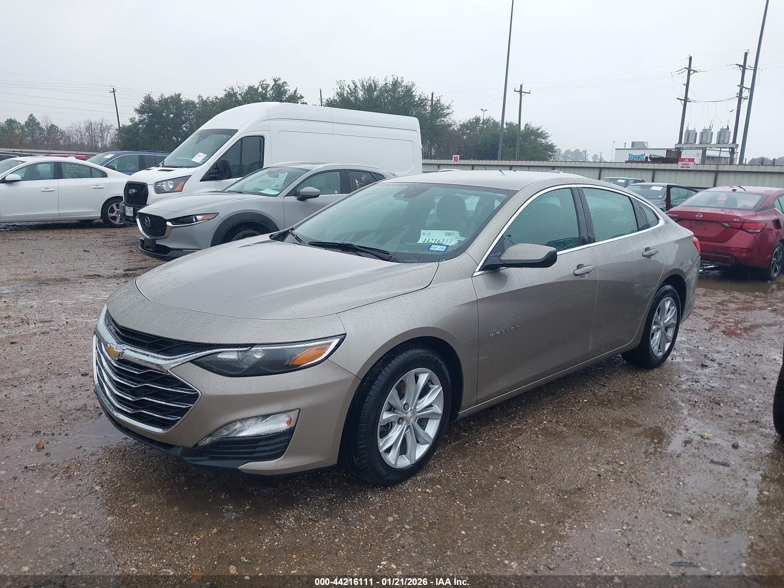 CHEVROLET MALIBU image 2