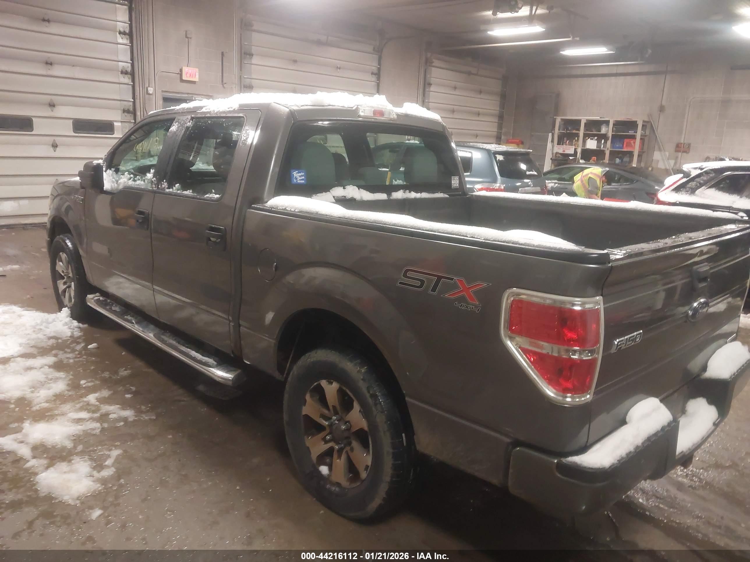 FORD F-150 image 3
