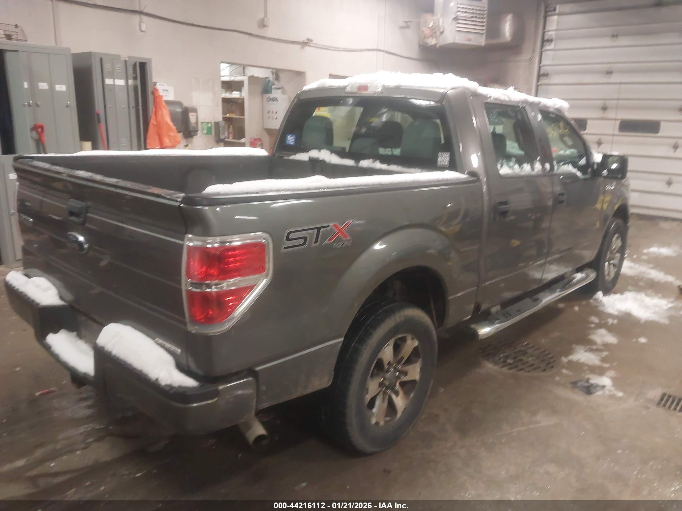 FORD F-150 image 4