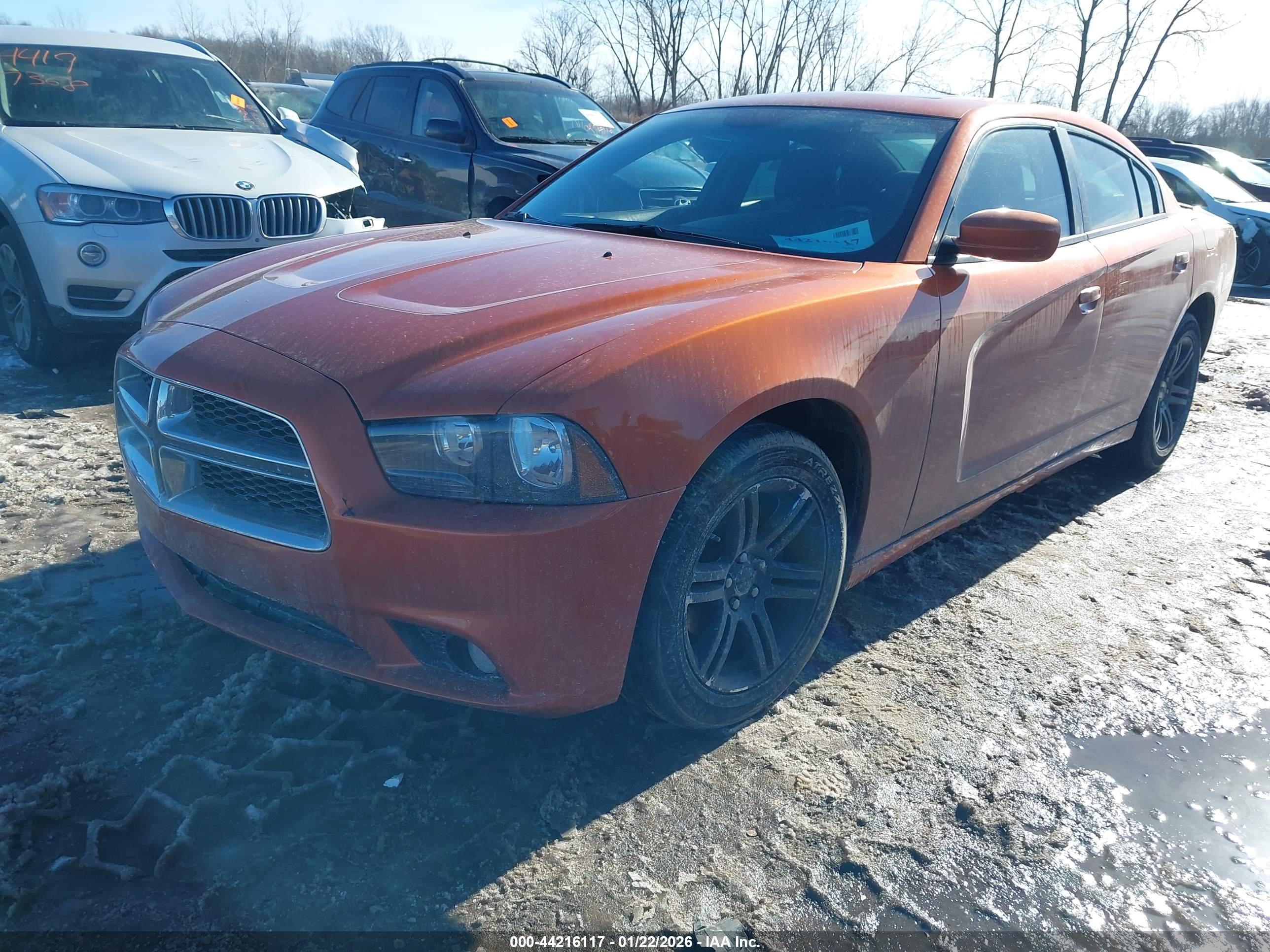DODGE CHARGER image 2