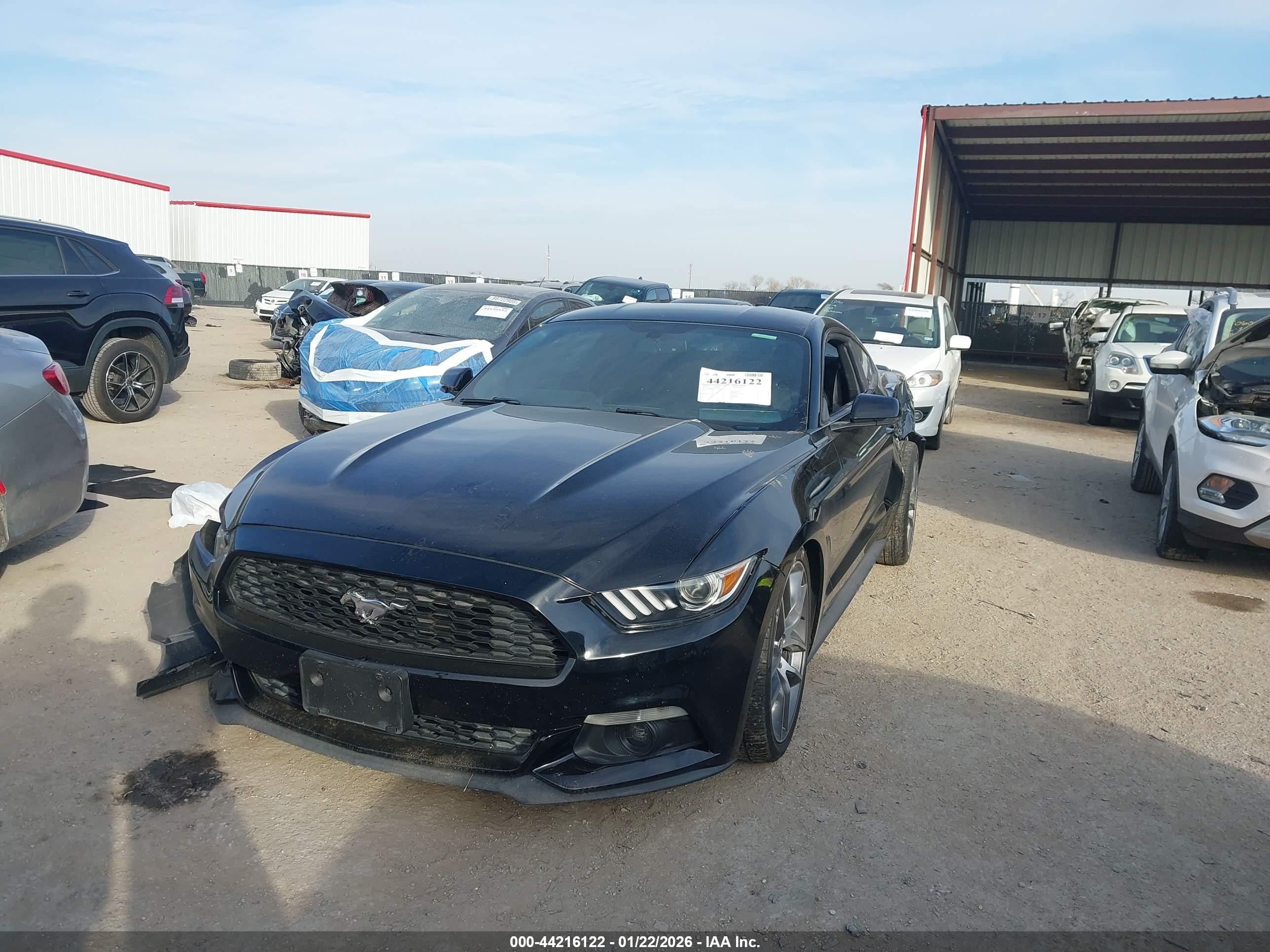 FORD MUSTANG image 2