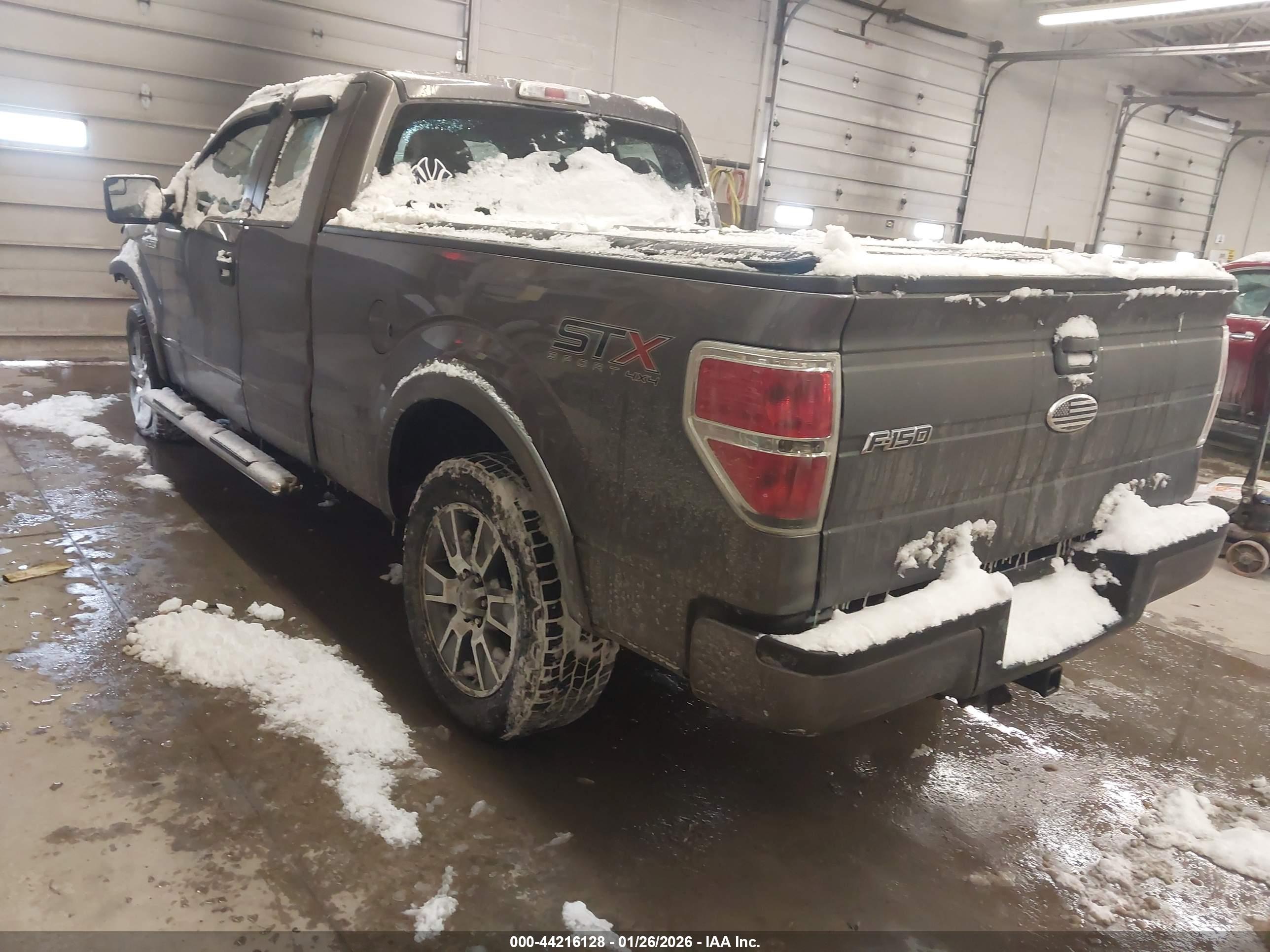 FORD F-150 image 3