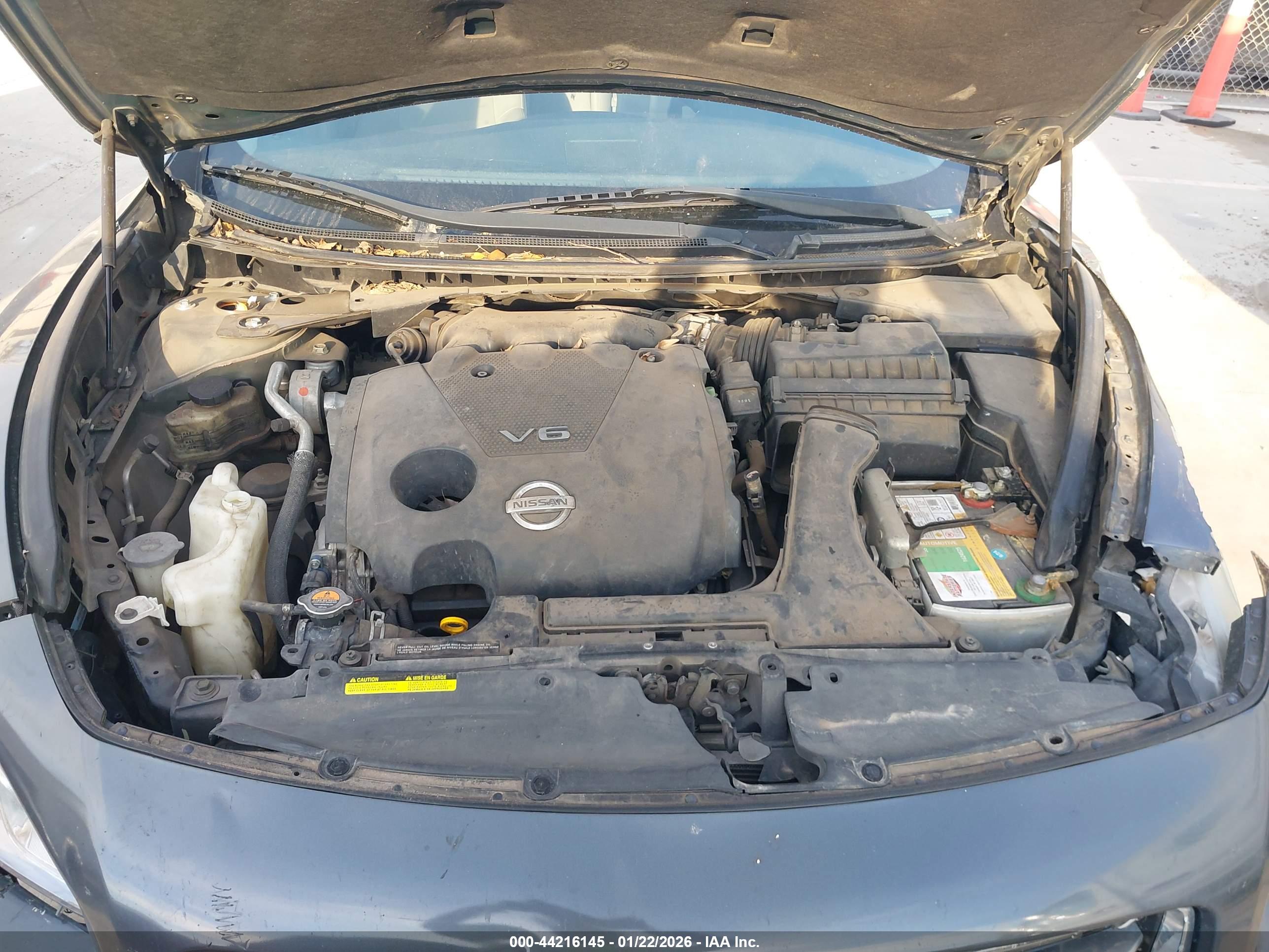 NISSAN MAXIMA image 10