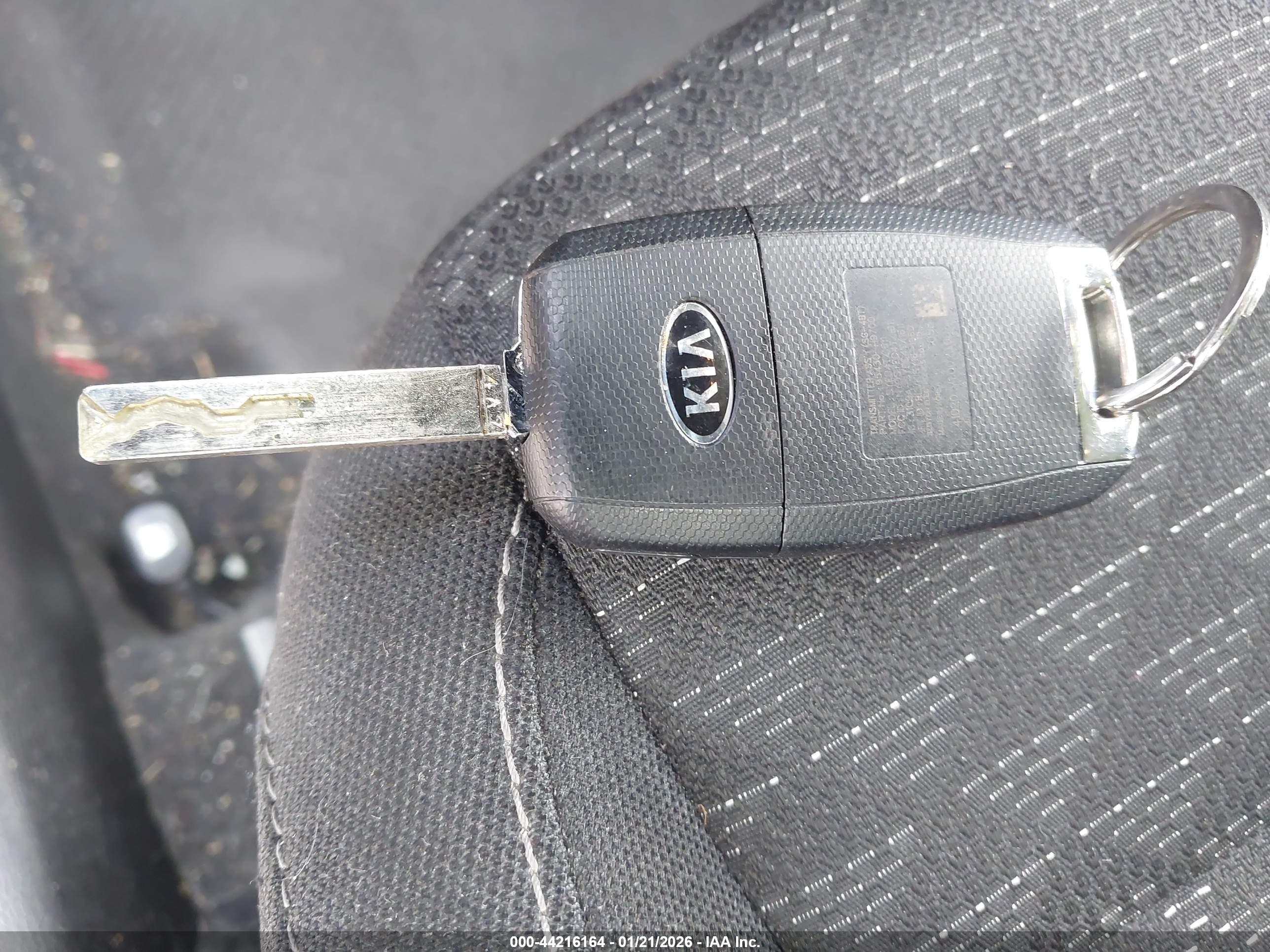 KIA RIO image 11