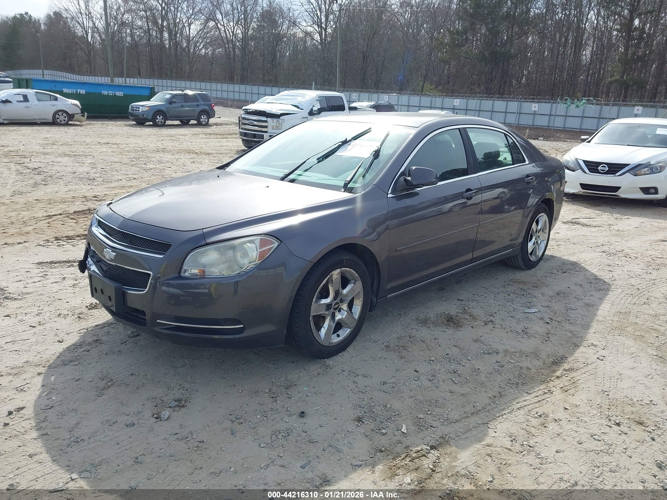 CHEVROLET MALIBU image 2
