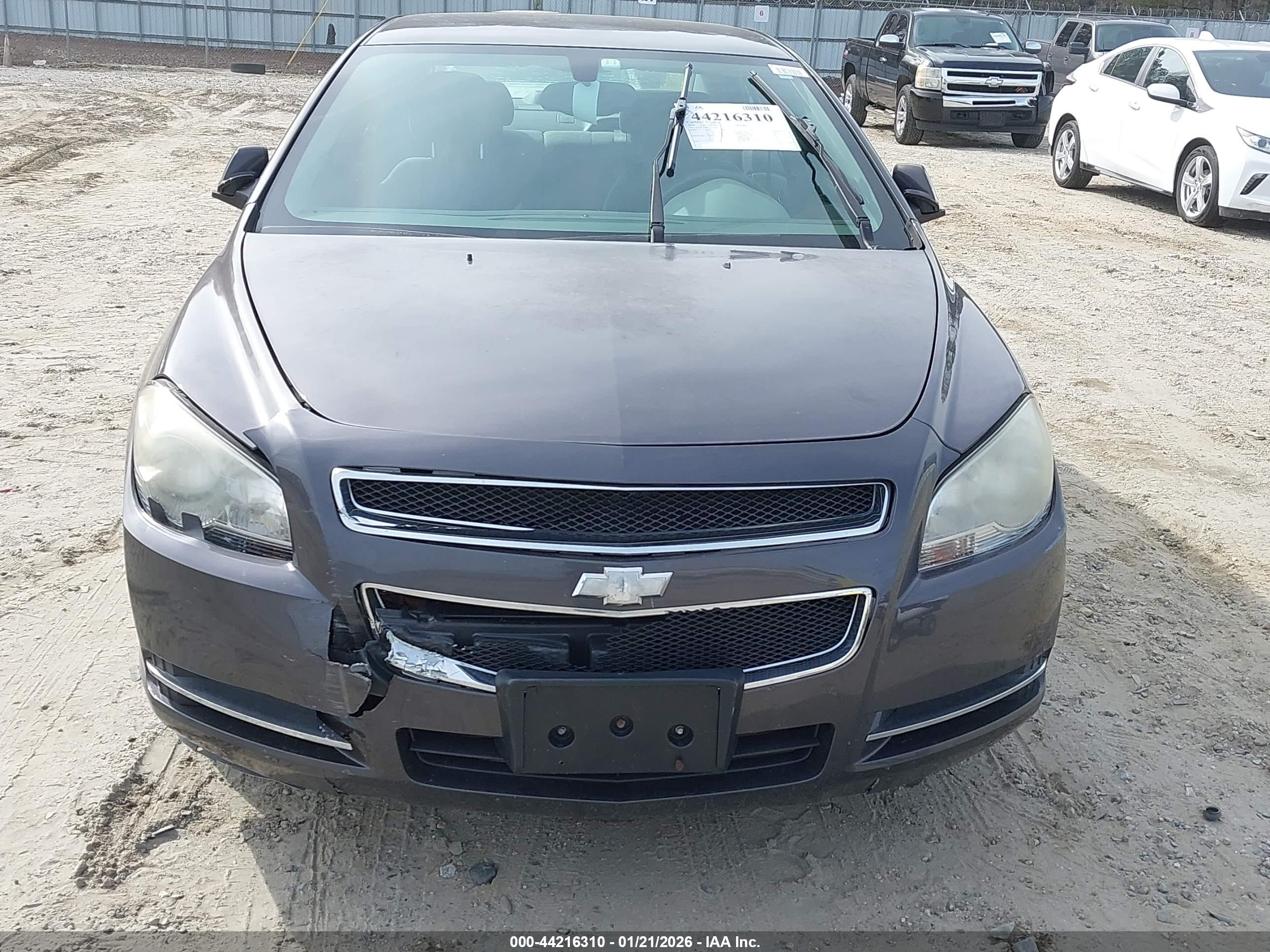 CHEVROLET MALIBU image 6