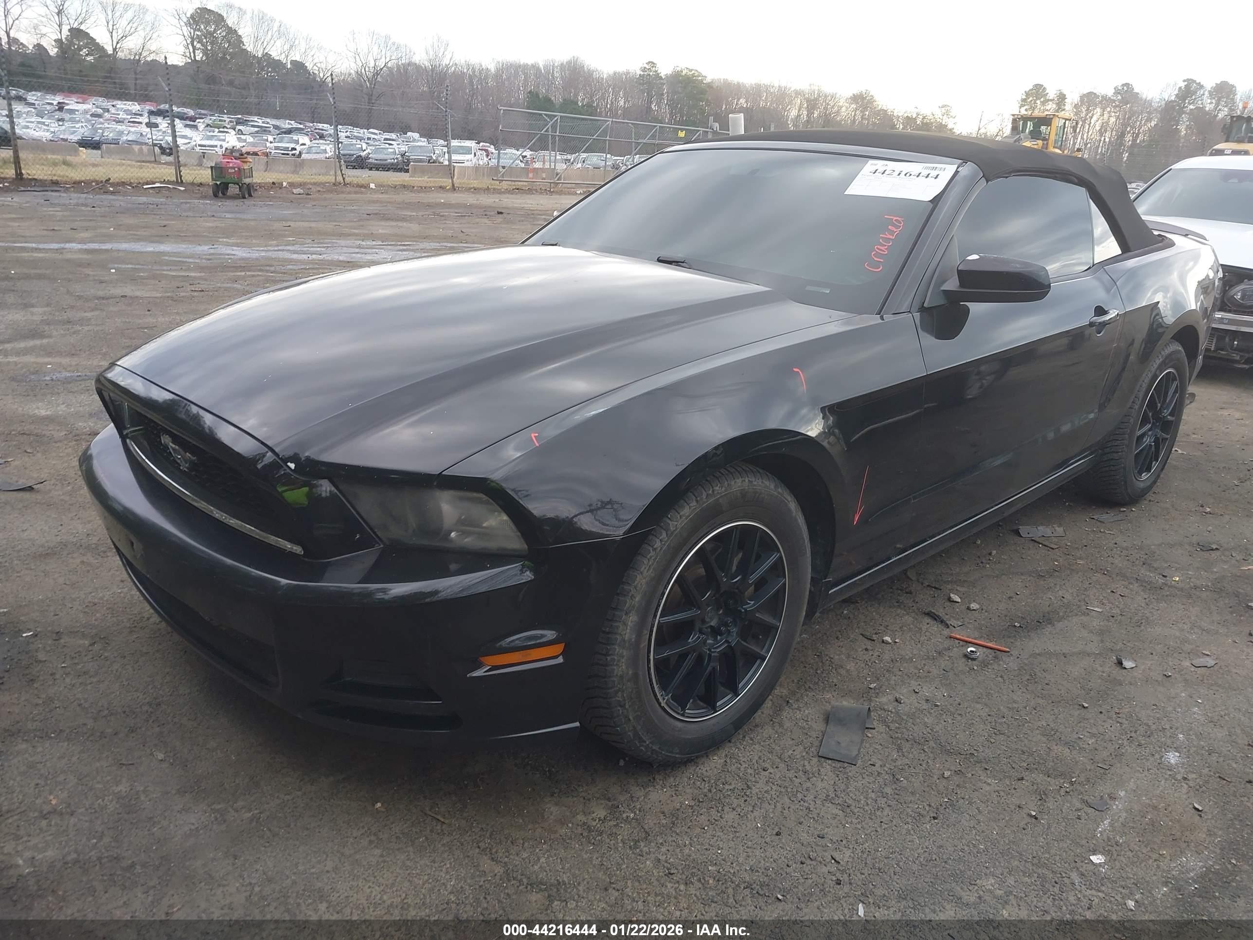 FORD MUSTANG image 2