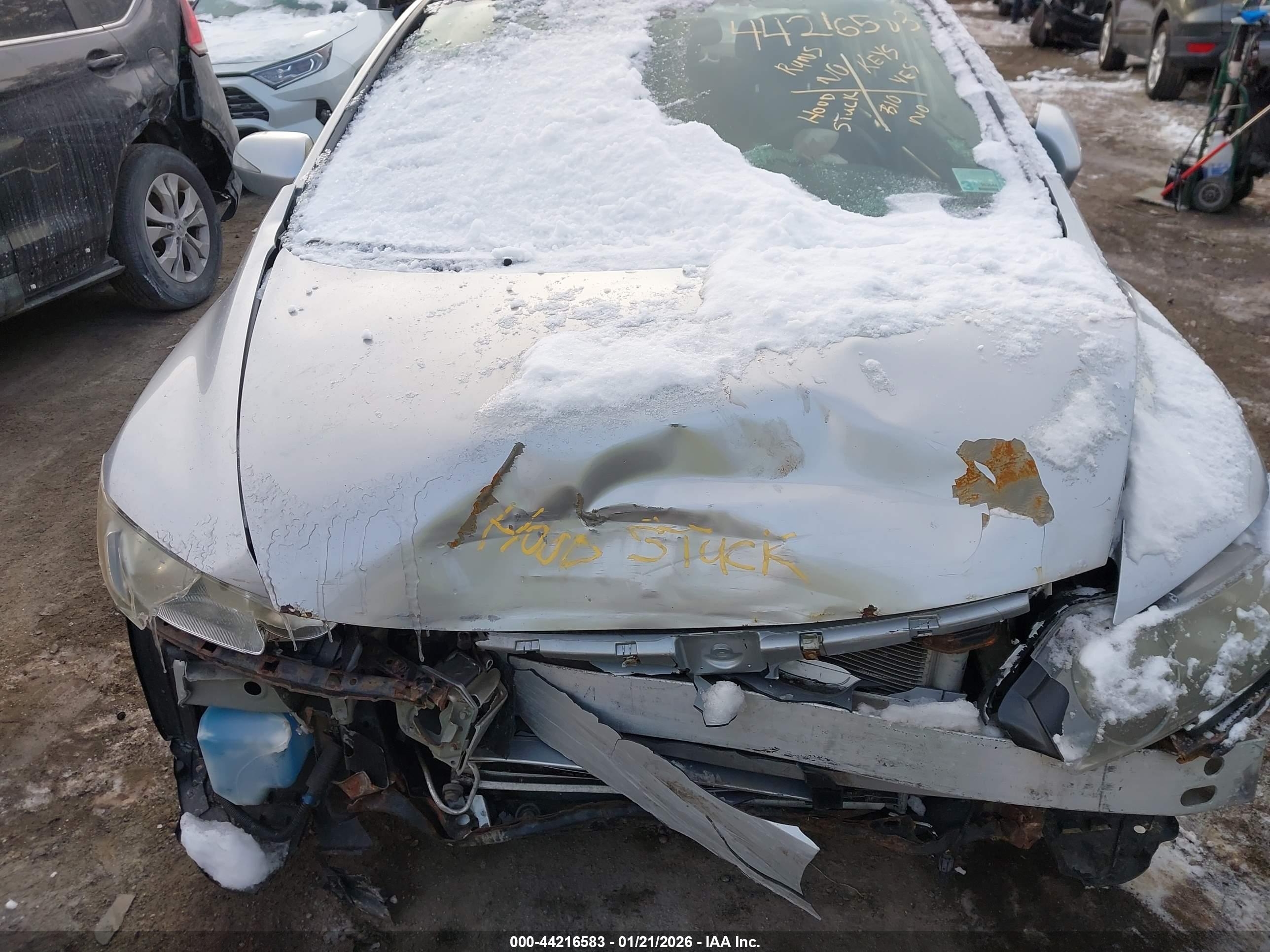 HONDA CIVIC image 10