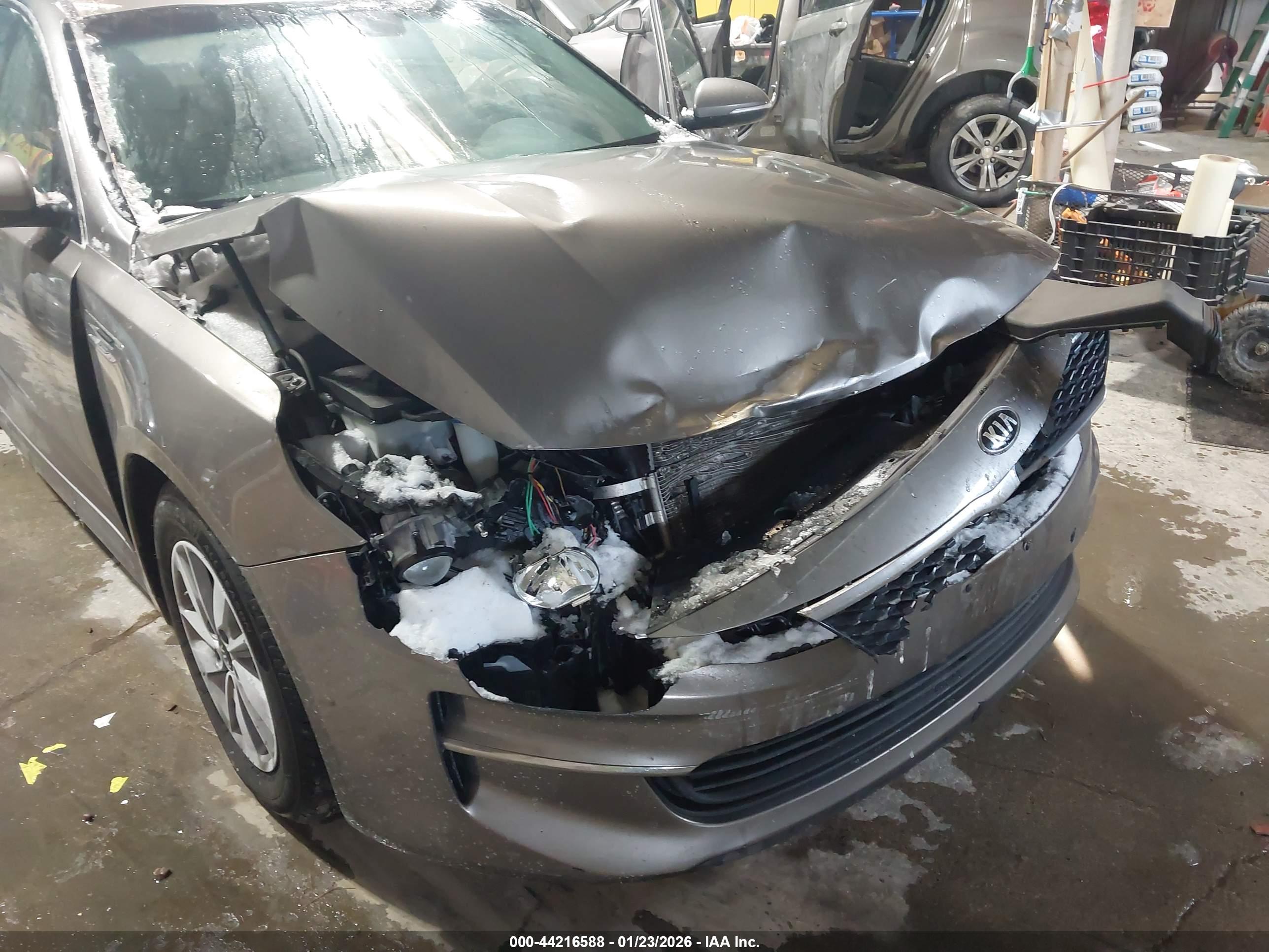 KIA OPTIMA image 6