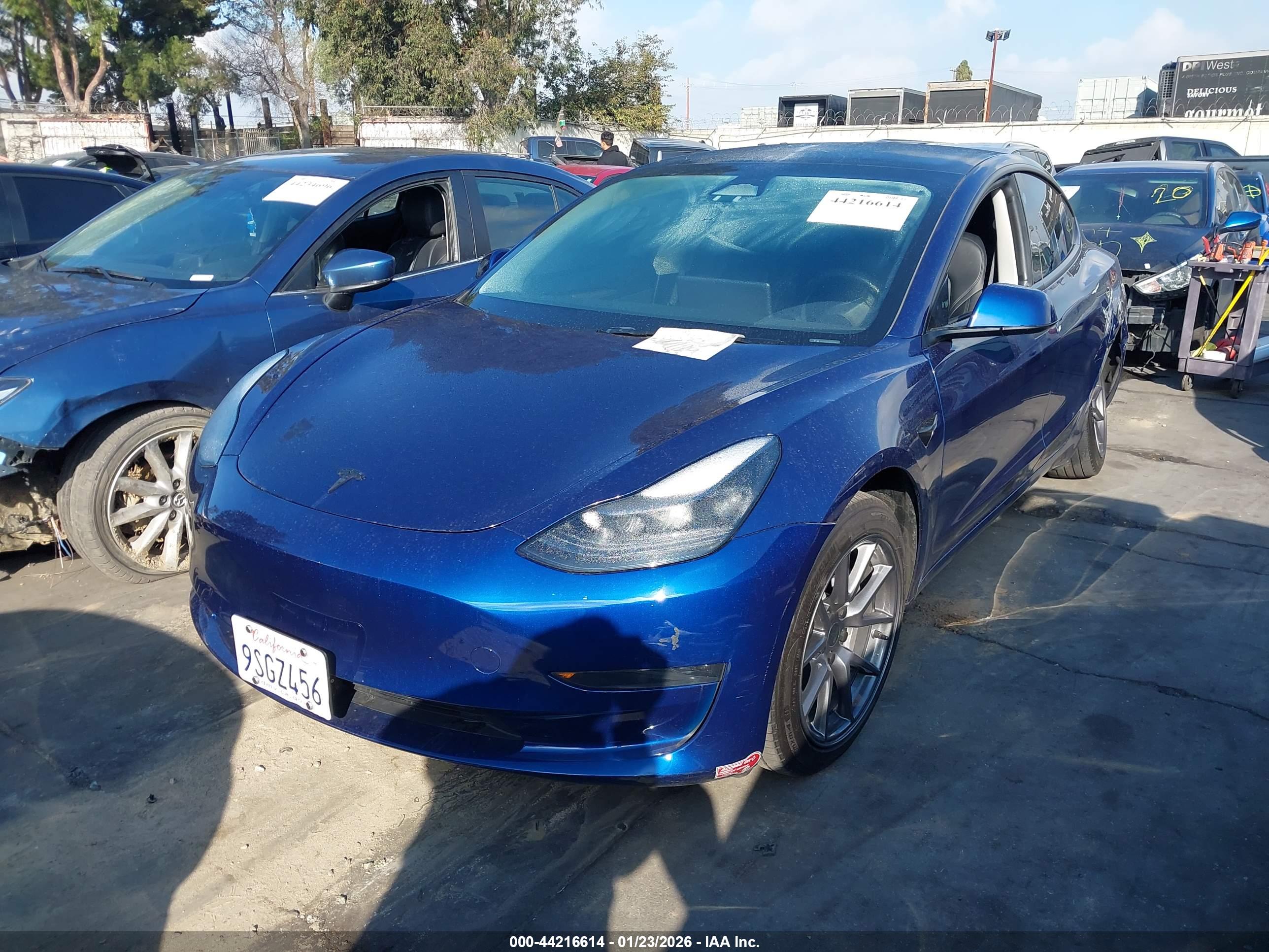 TESLA MODEL image 2
