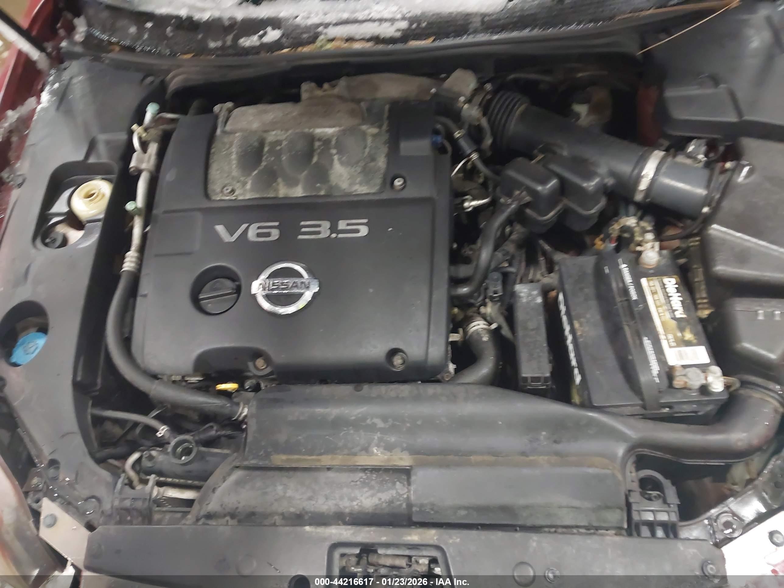 NISSAN MAXIMA image 10
