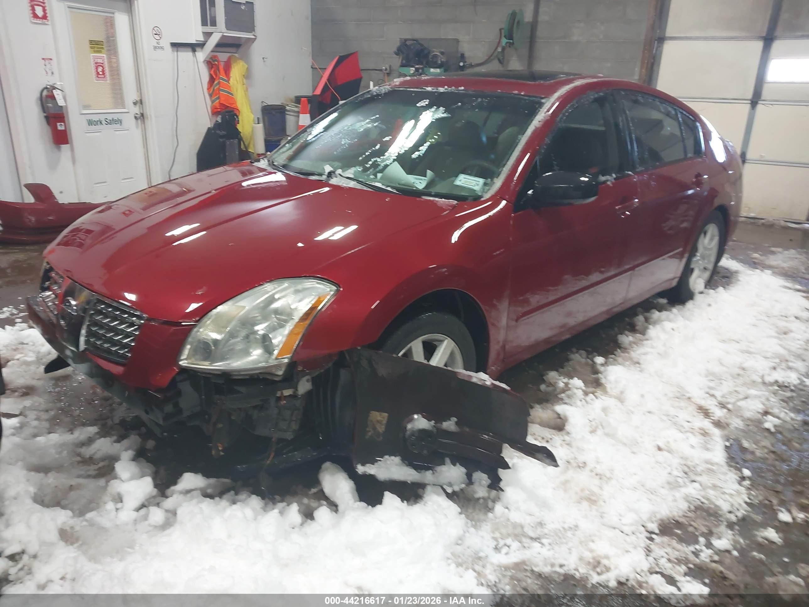 NISSAN MAXIMA image 2
