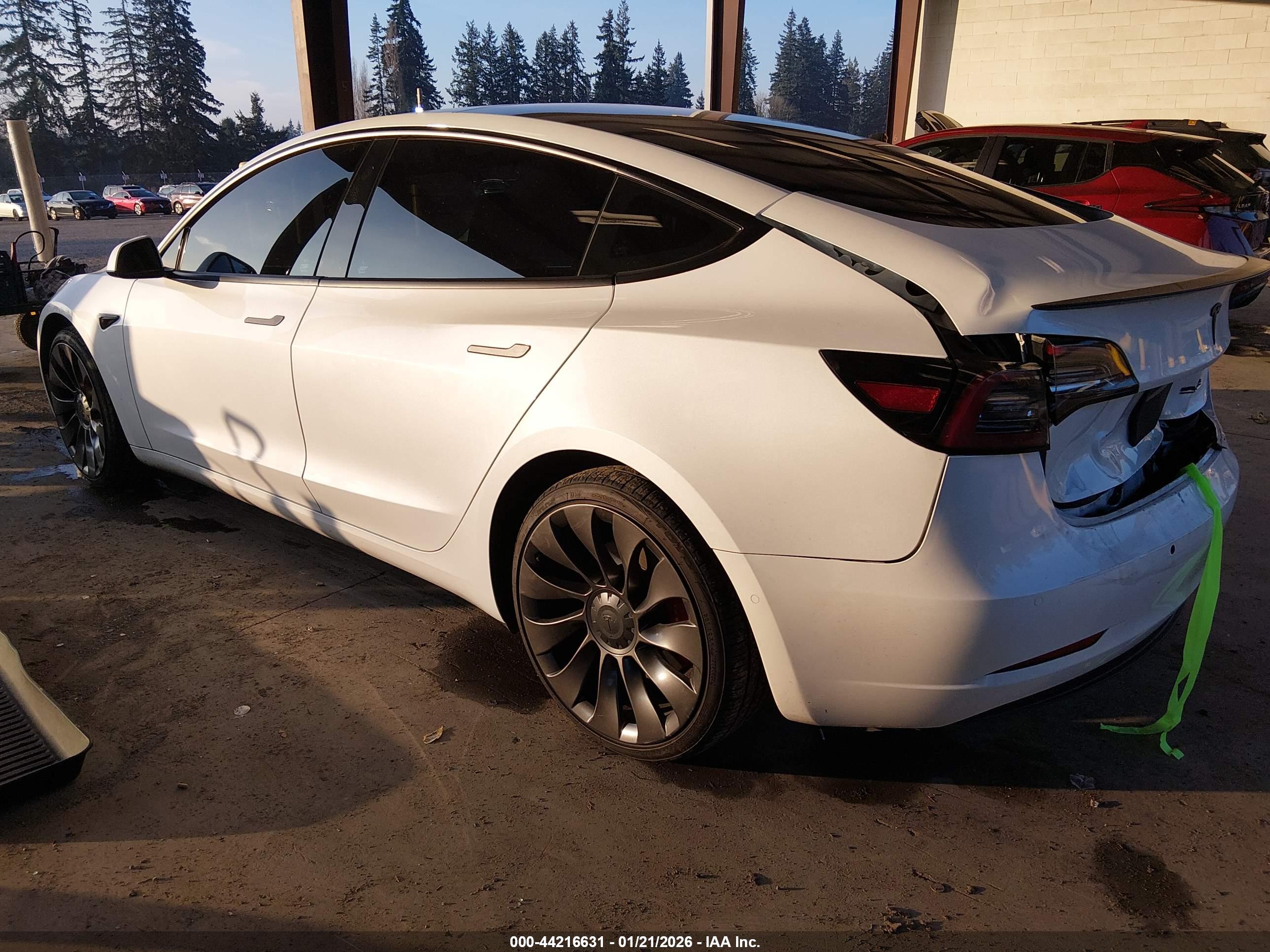 TESLA MODEL image 3