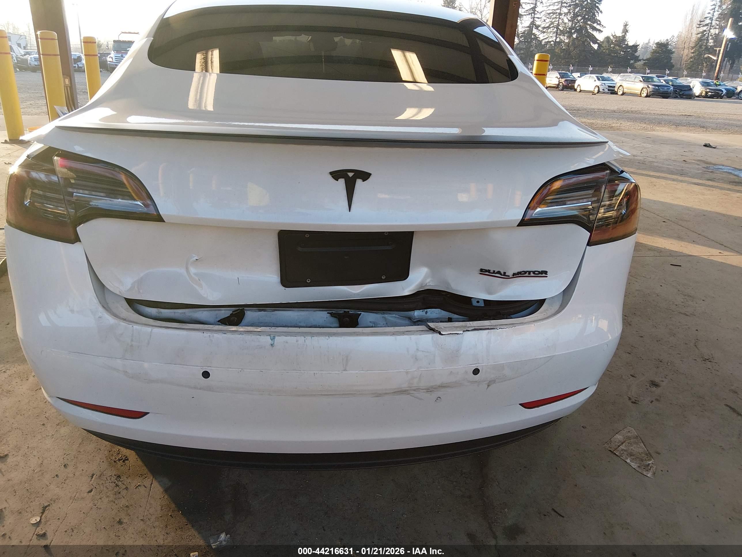 TESLA MODEL image 6