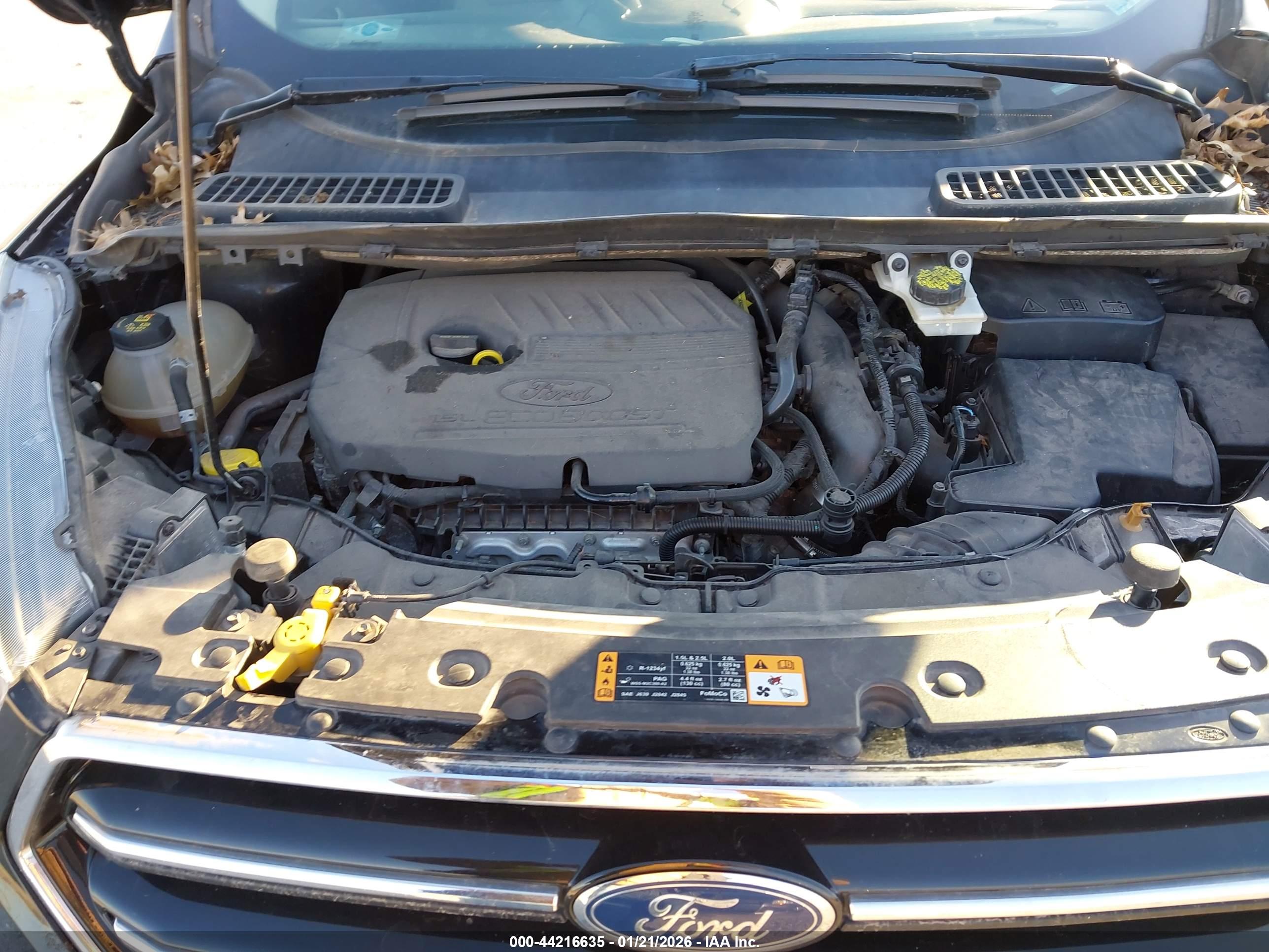 FORD ESCAPE image 10
