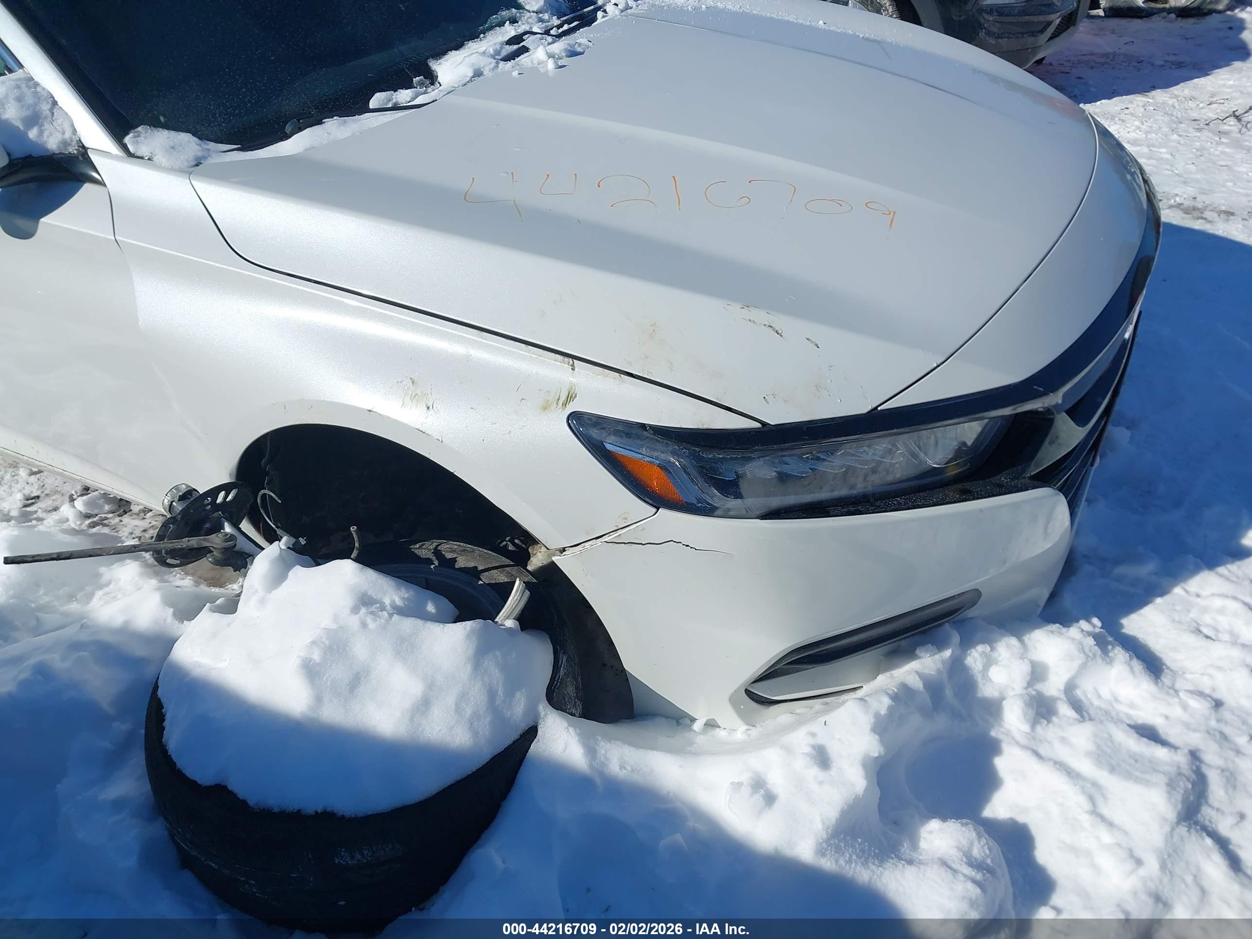 HONDA ACCORD image 6