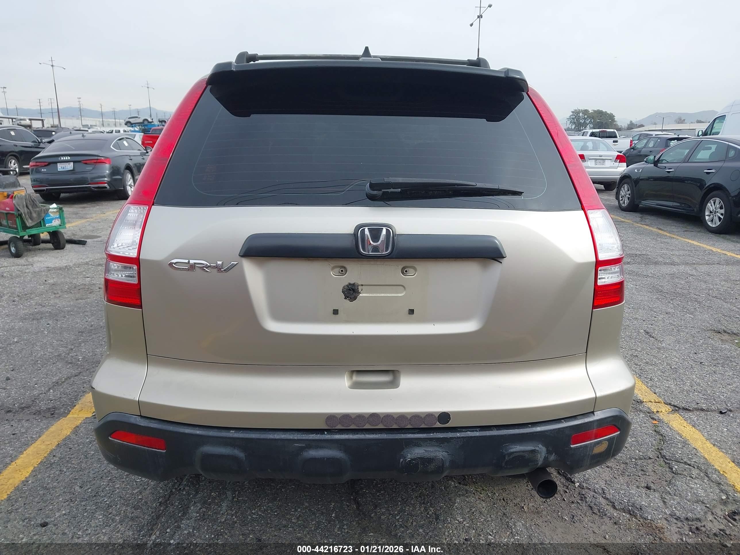 HONDA CR-V image 6