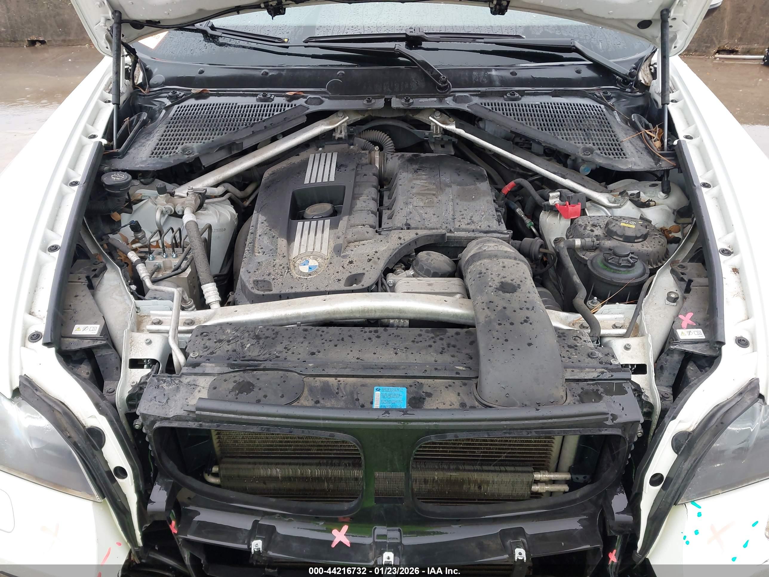 BMW X6 image 10