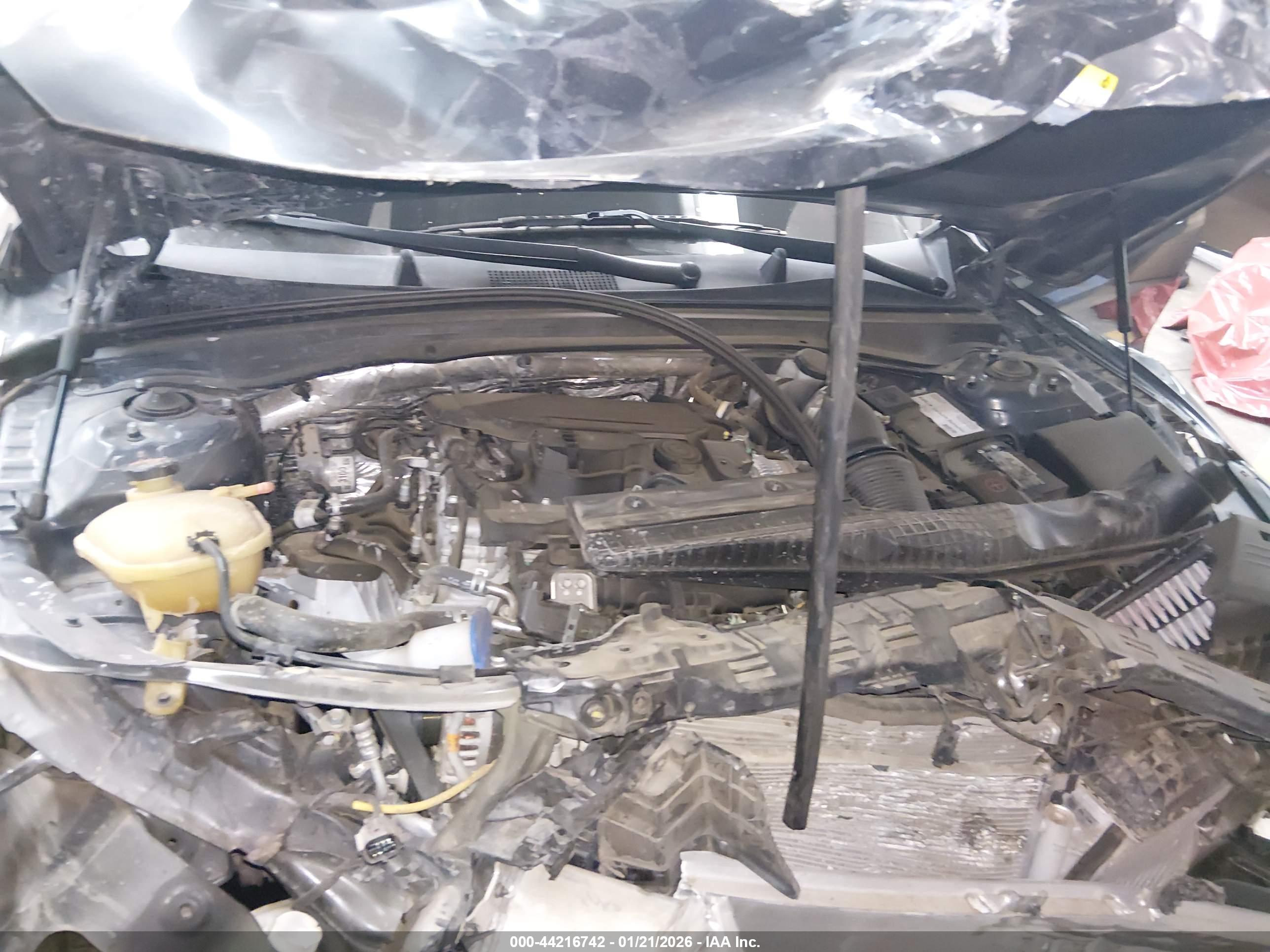 KIA K5 image 10
