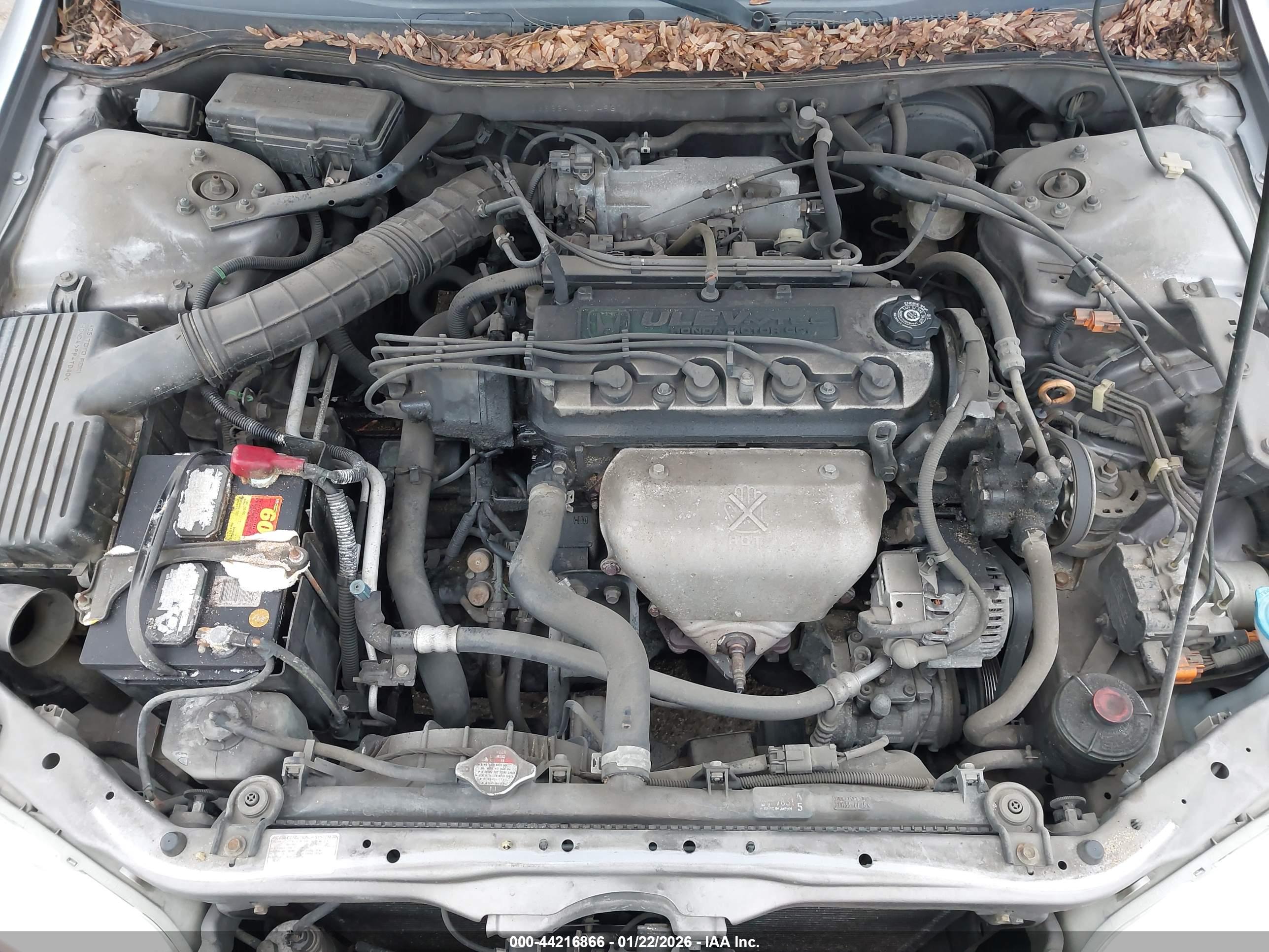 HONDA ACCORD image 10