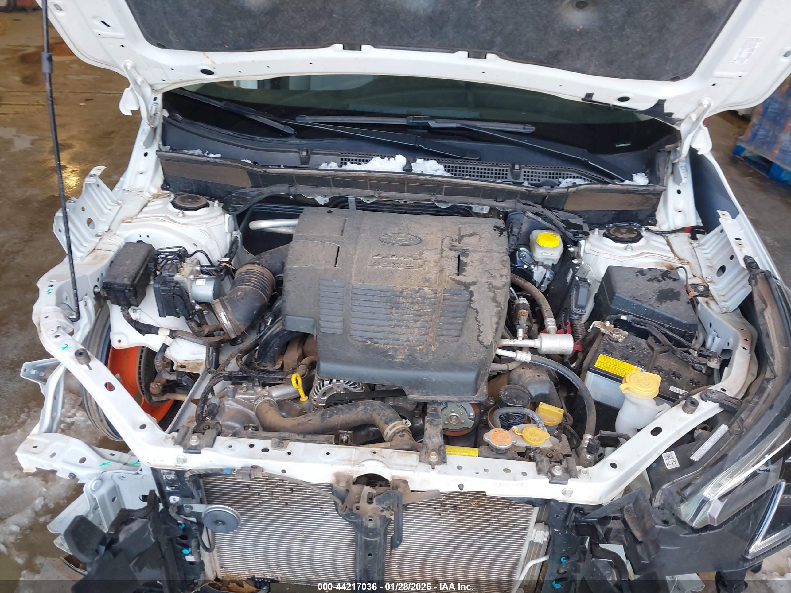SUBARU FORESTER image 10