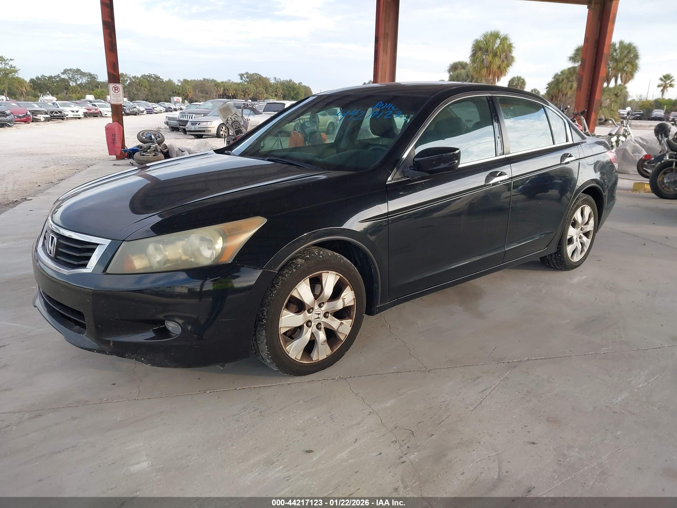 HONDA ACCORD image 2
