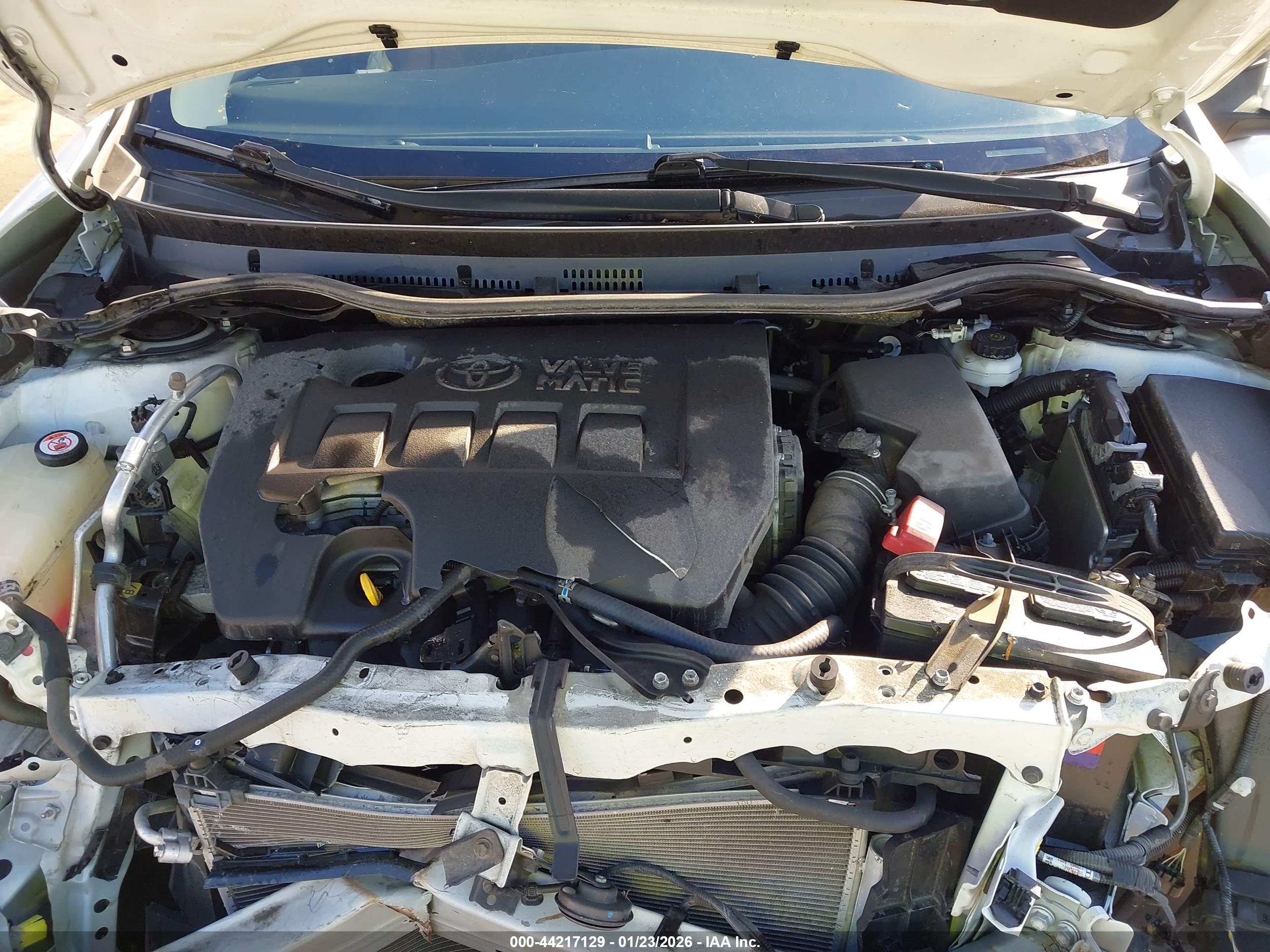 TOYOTA COROLLA image 10