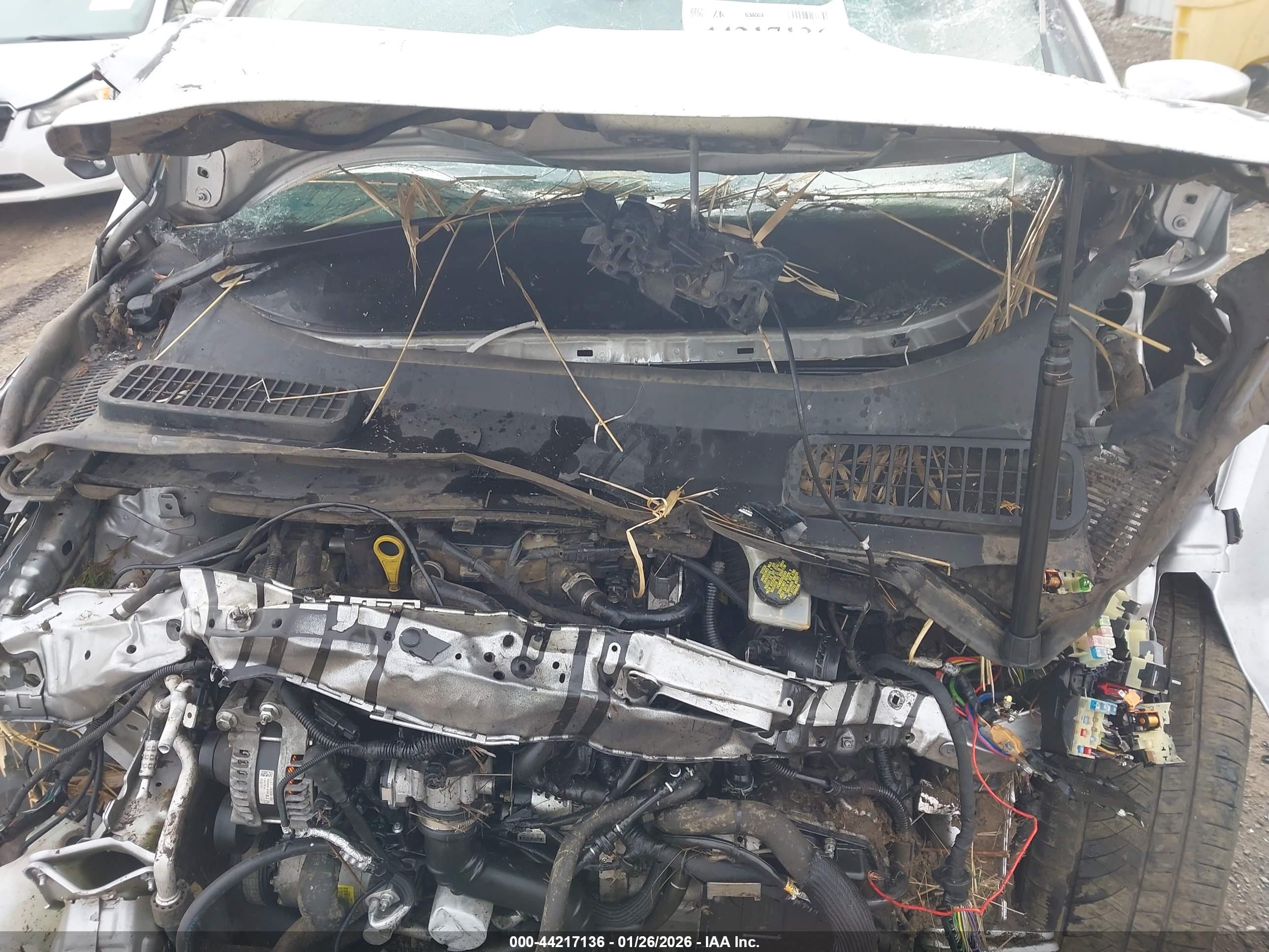 FORD ESCAPE image 10