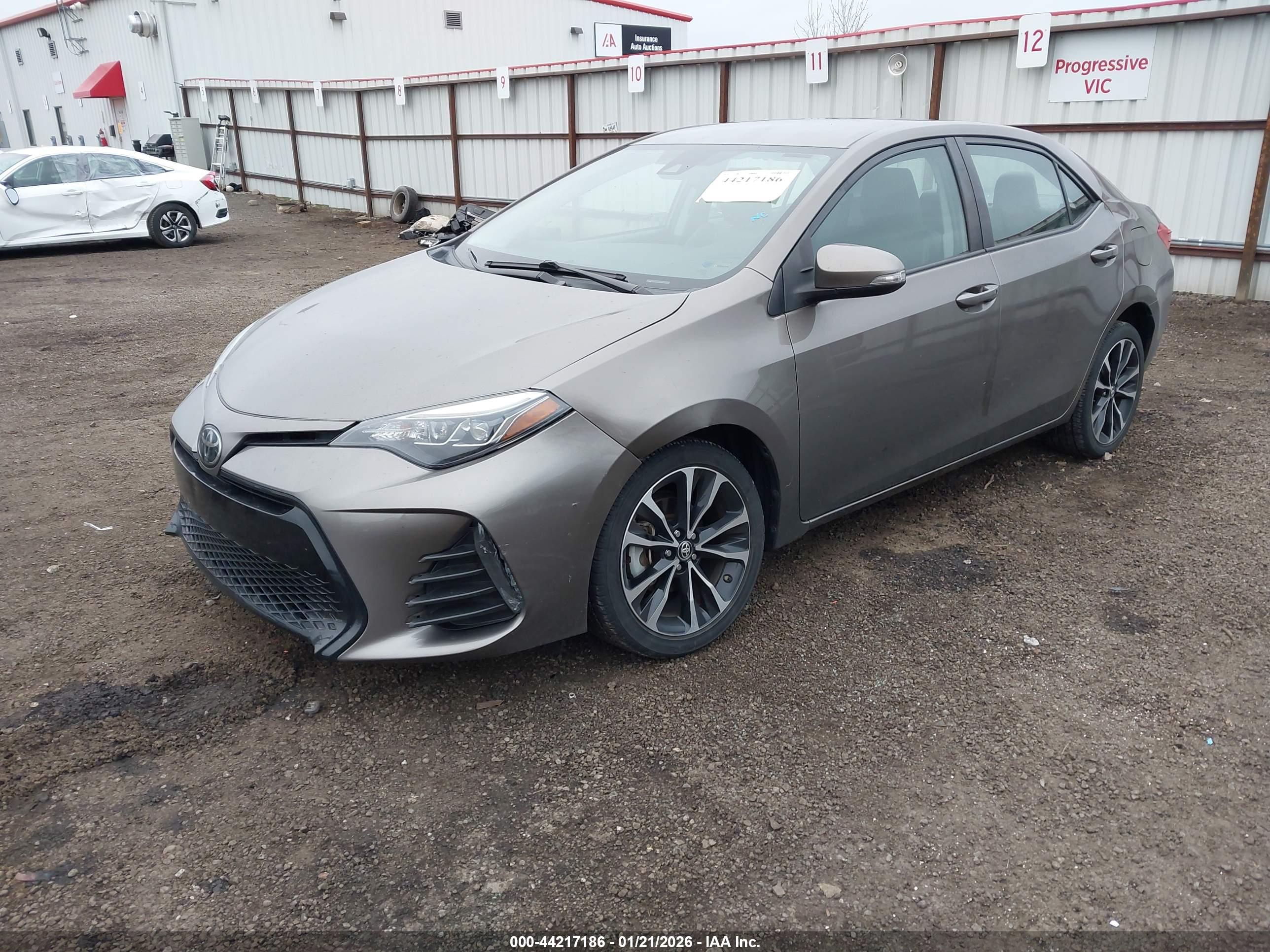 TOYOTA COROLLA image 2