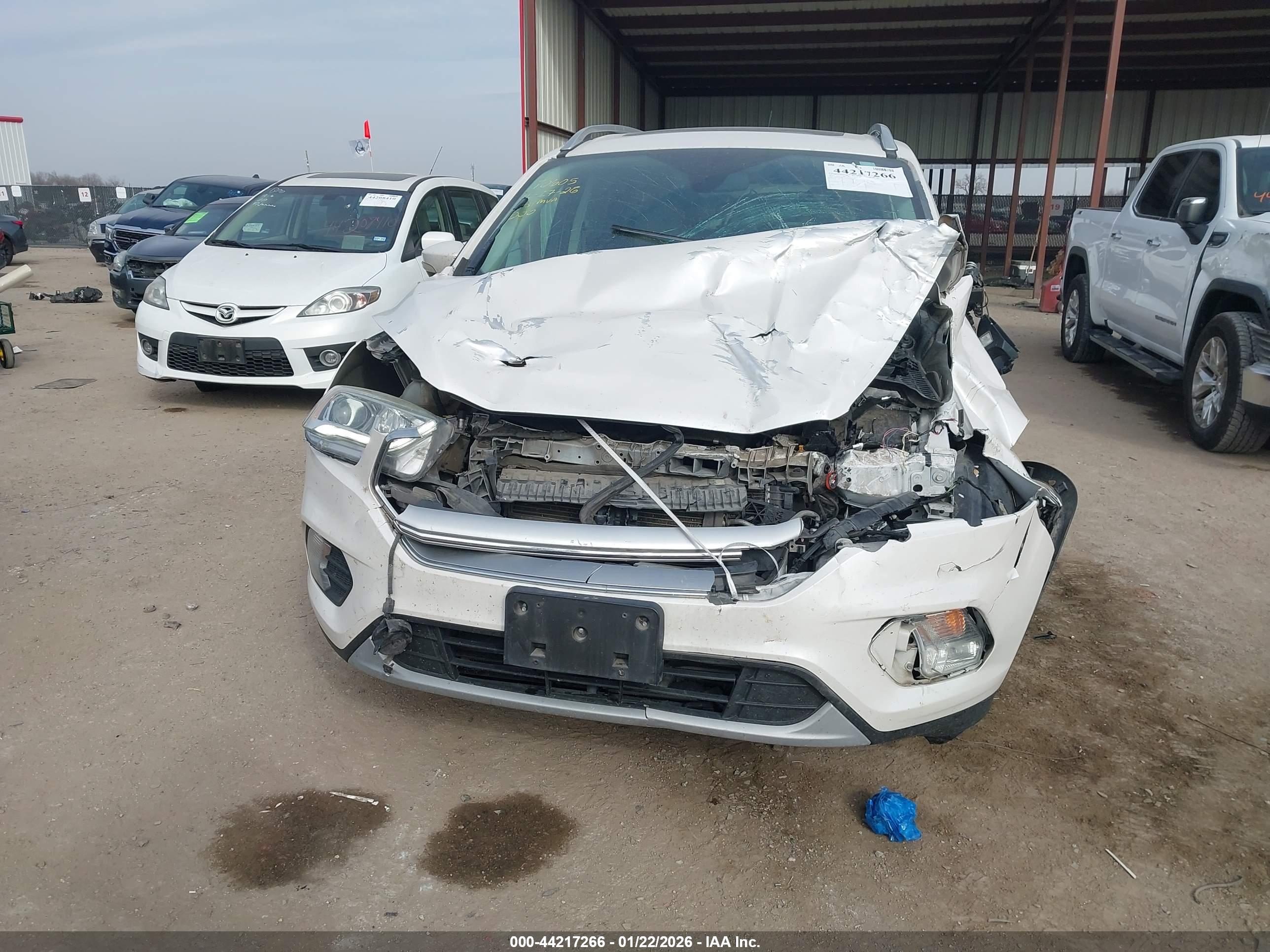 FORD ESCAPE image 6