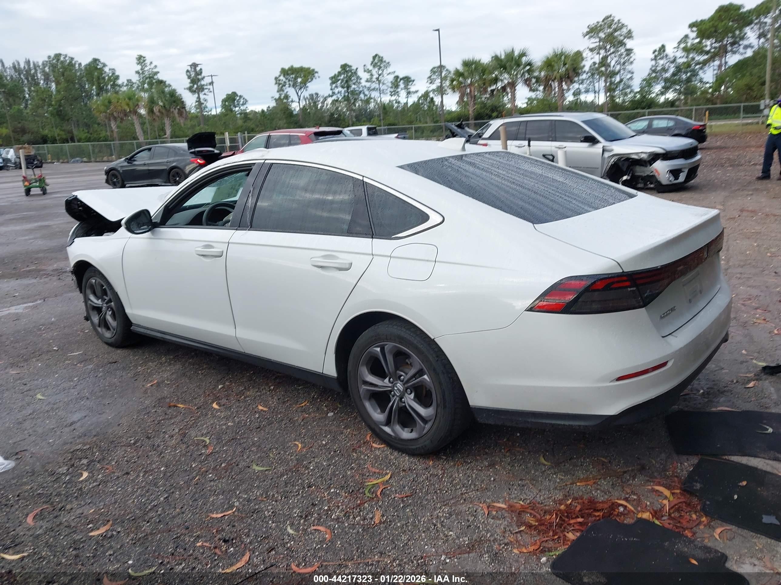 HONDA ACCORD image 3