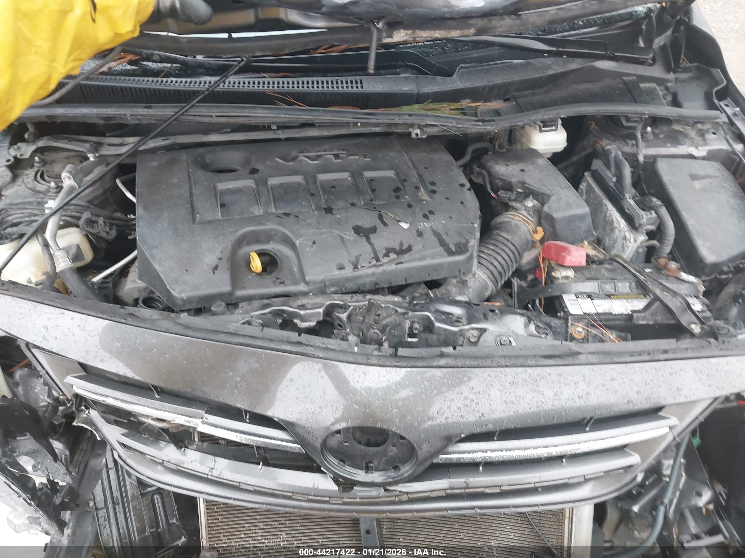 TOYOTA COROLLA image 10