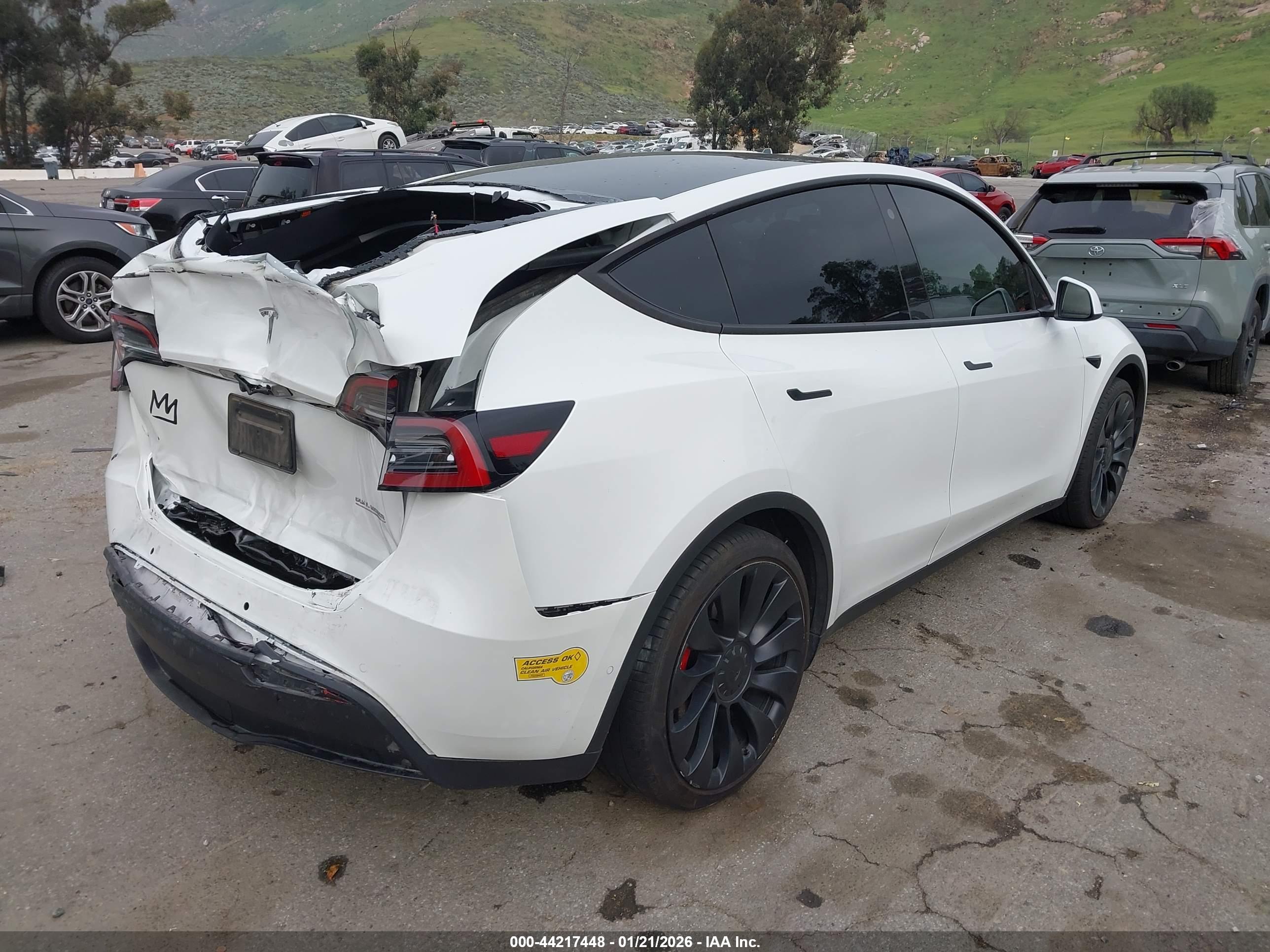 TESLA MODEL image 4