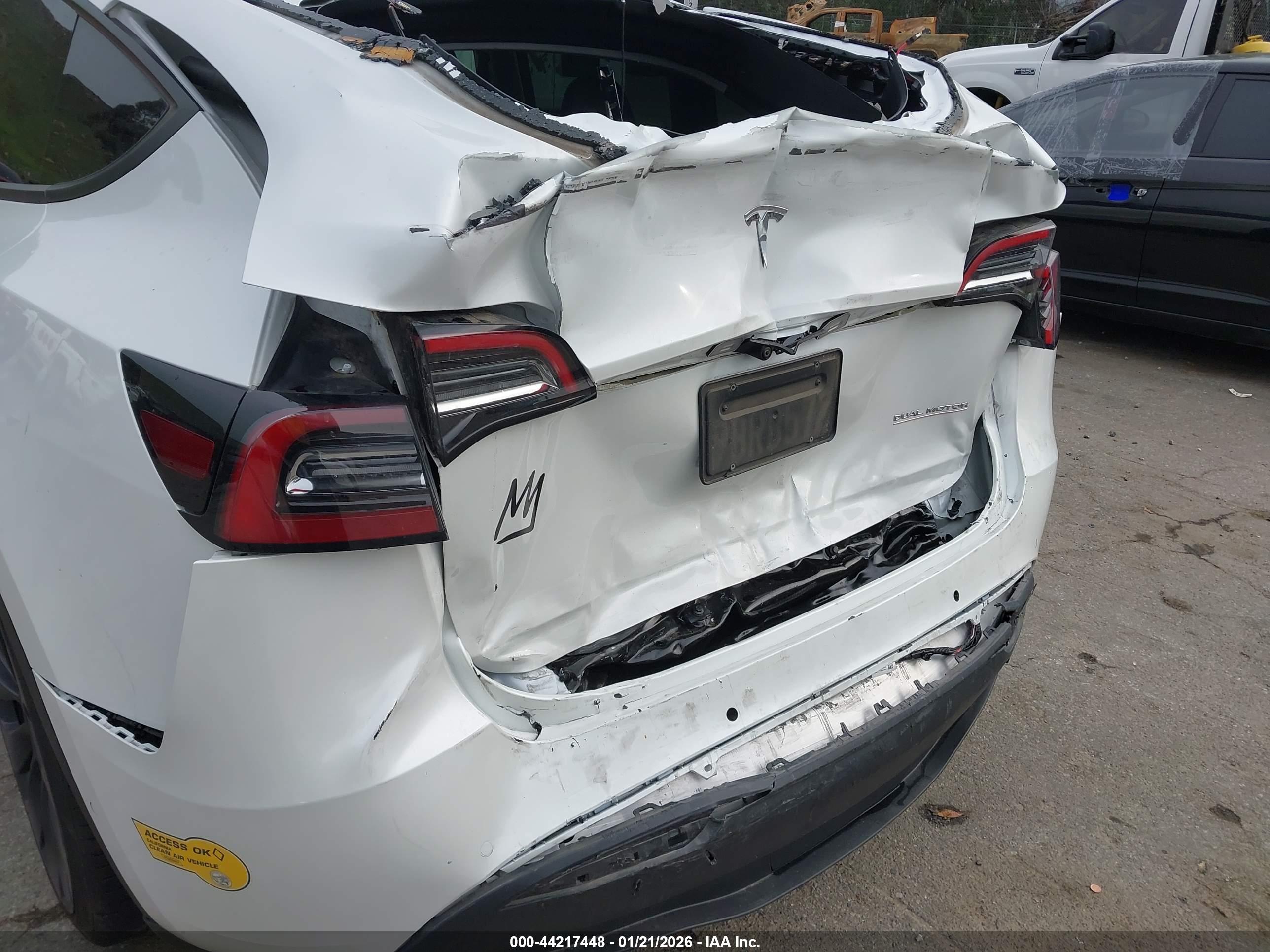 TESLA MODEL image 6