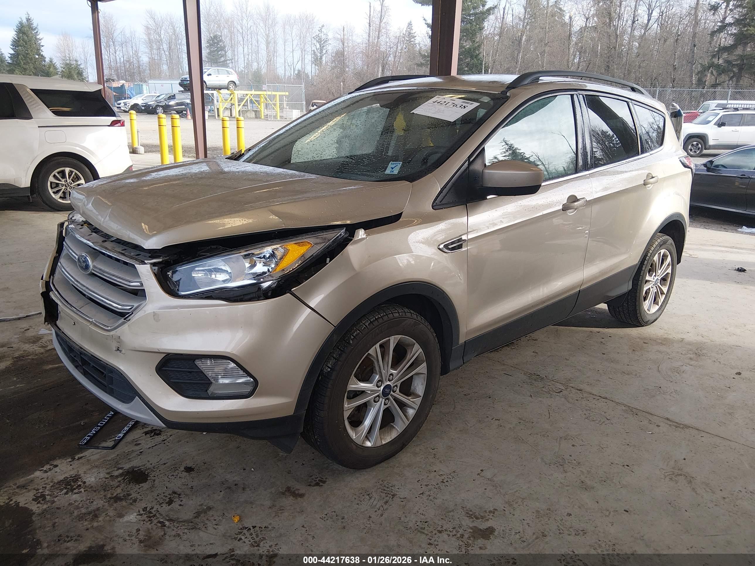 FORD ESCAPE image 2
