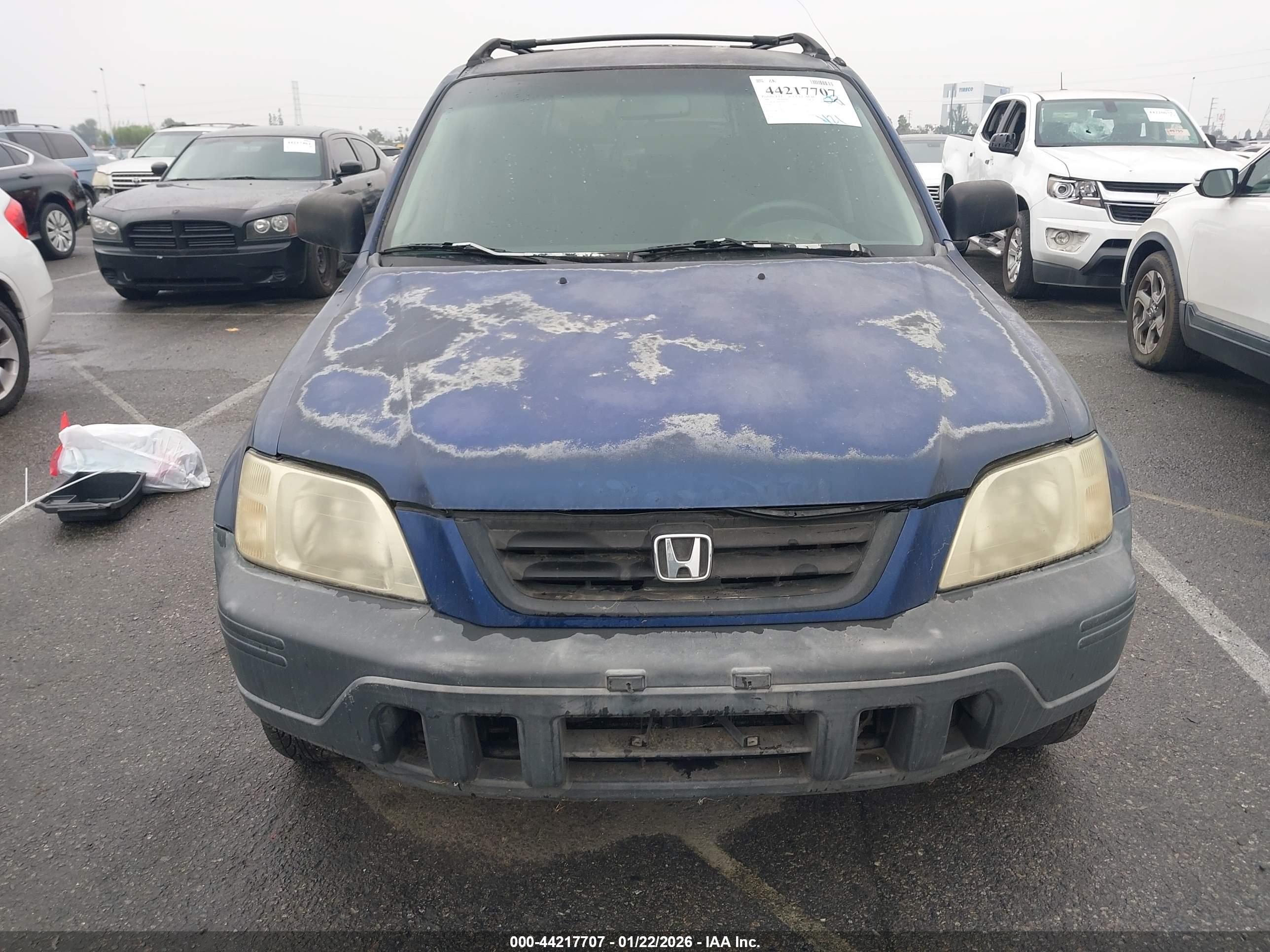 HONDA CR-V image 6